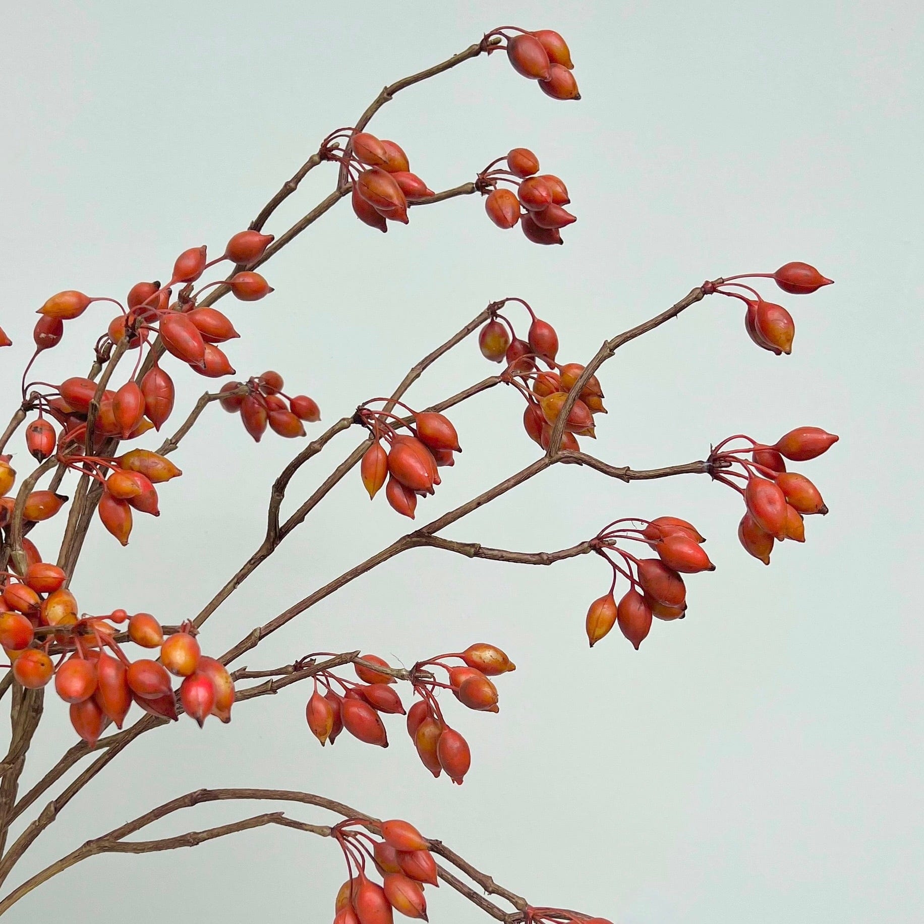 Luxury Fabric Silk Grey Silver Berries from The Faux Flower Company