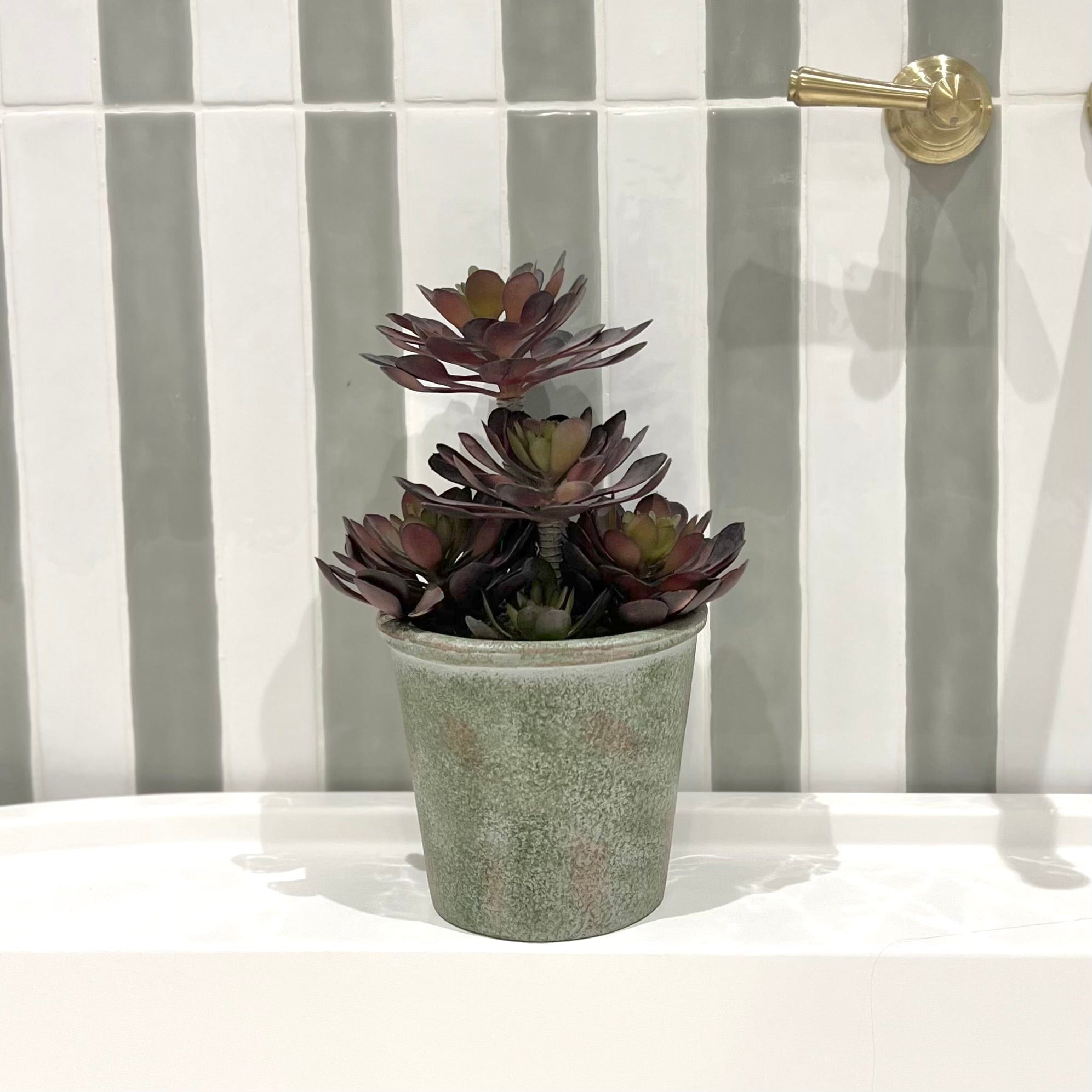 Artificial flowers luxury lifelike faux Artificial Black Succulent Aeonium with Pot realistic silk  Plants buy online from The Faux Flower Company AHCH-1904