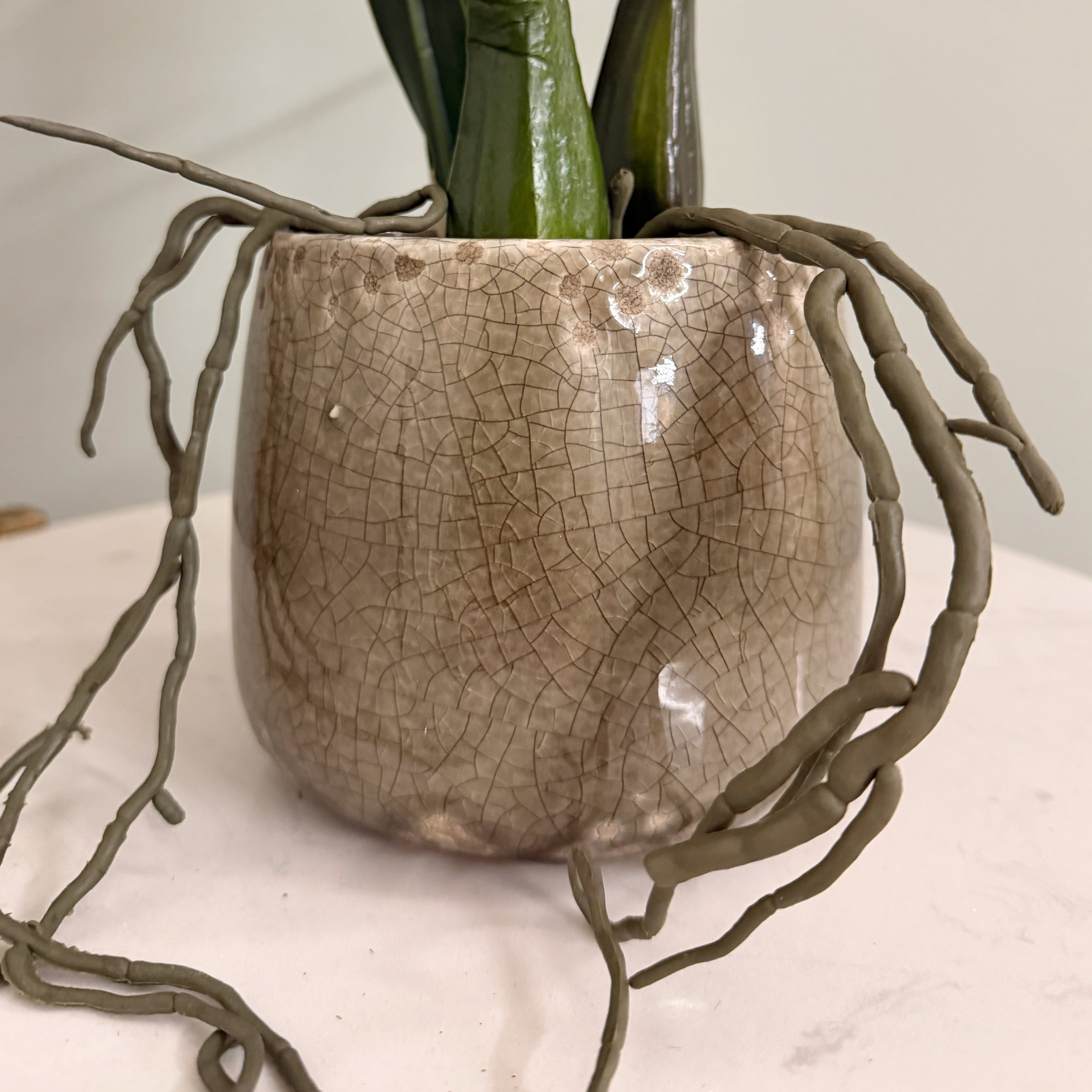 Artificial flowers luxury lifelike faux Artificial Dancing Orchid in Khaki Ceramic Pot realistic silk buy online from The Faux Flower Company AHCH-2851