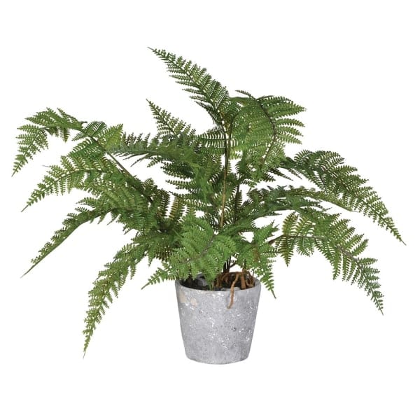 Artificial flowers luxury lifelike faux Artificial Green Bracken Fern in Cement Pot realistic silk Plants buy online from The Faux Flower Company AHCH-1518