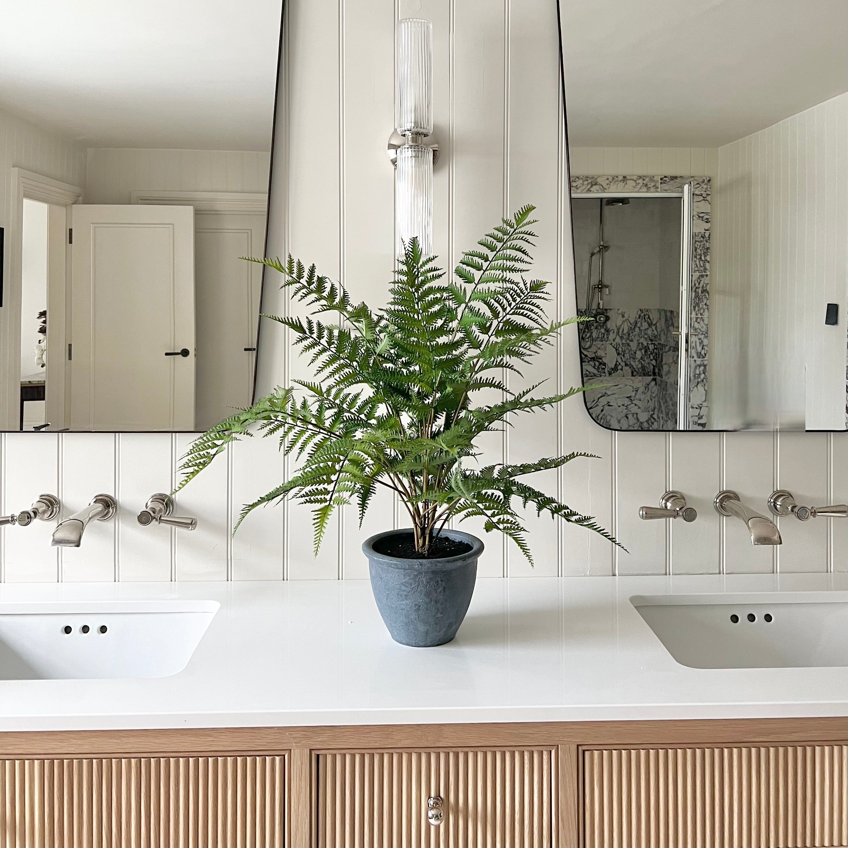 Artificial flowers luxury lifelike faux Artificial Green Bracken Fern in Dark Grey Pot realistic silk Plants buy online from The Faux Flower Company AHCH-1422