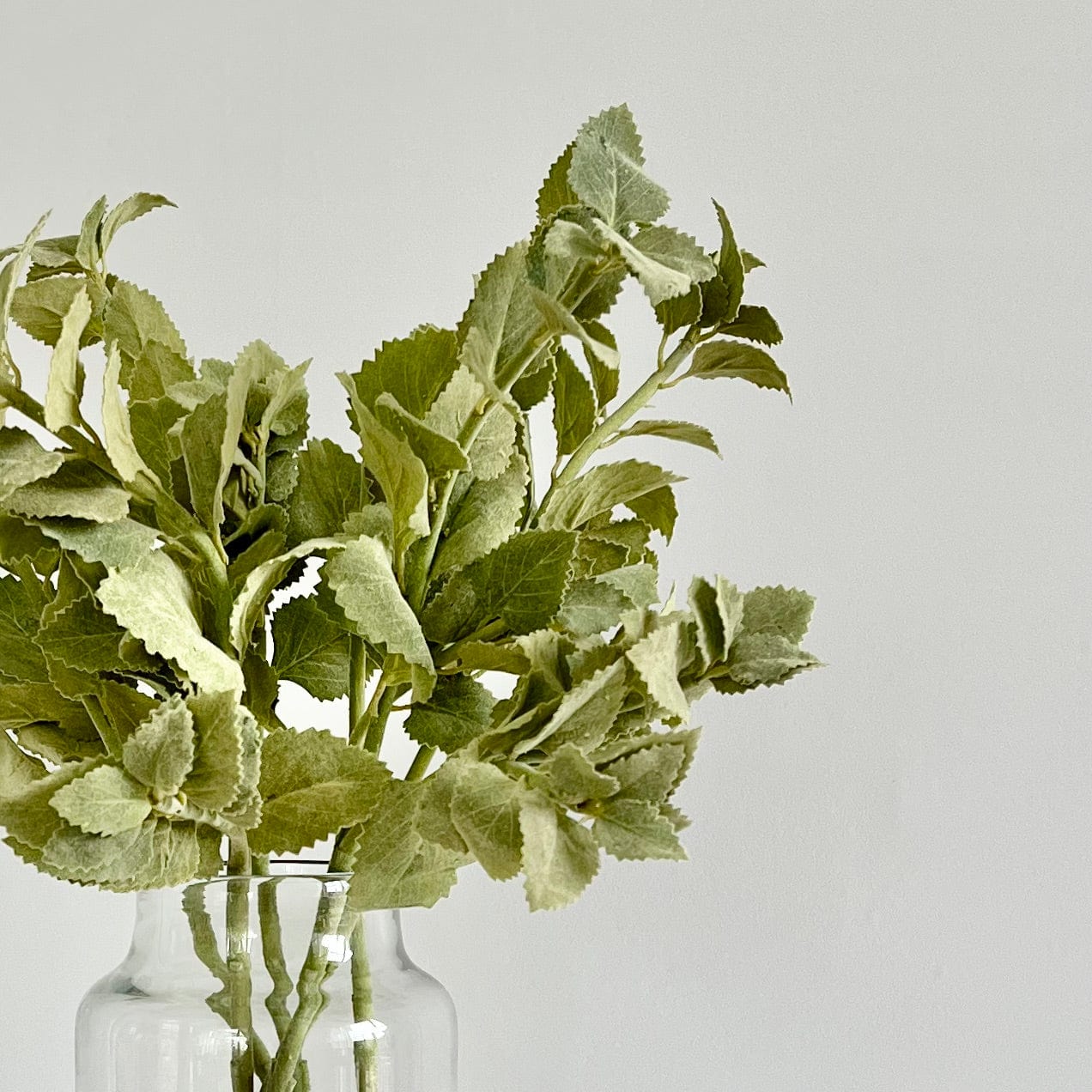 Artificial flowers luxury lifelike faux Artificial Green Nettle Leaves realistic silk single stems buy online from The Faux Flower Company