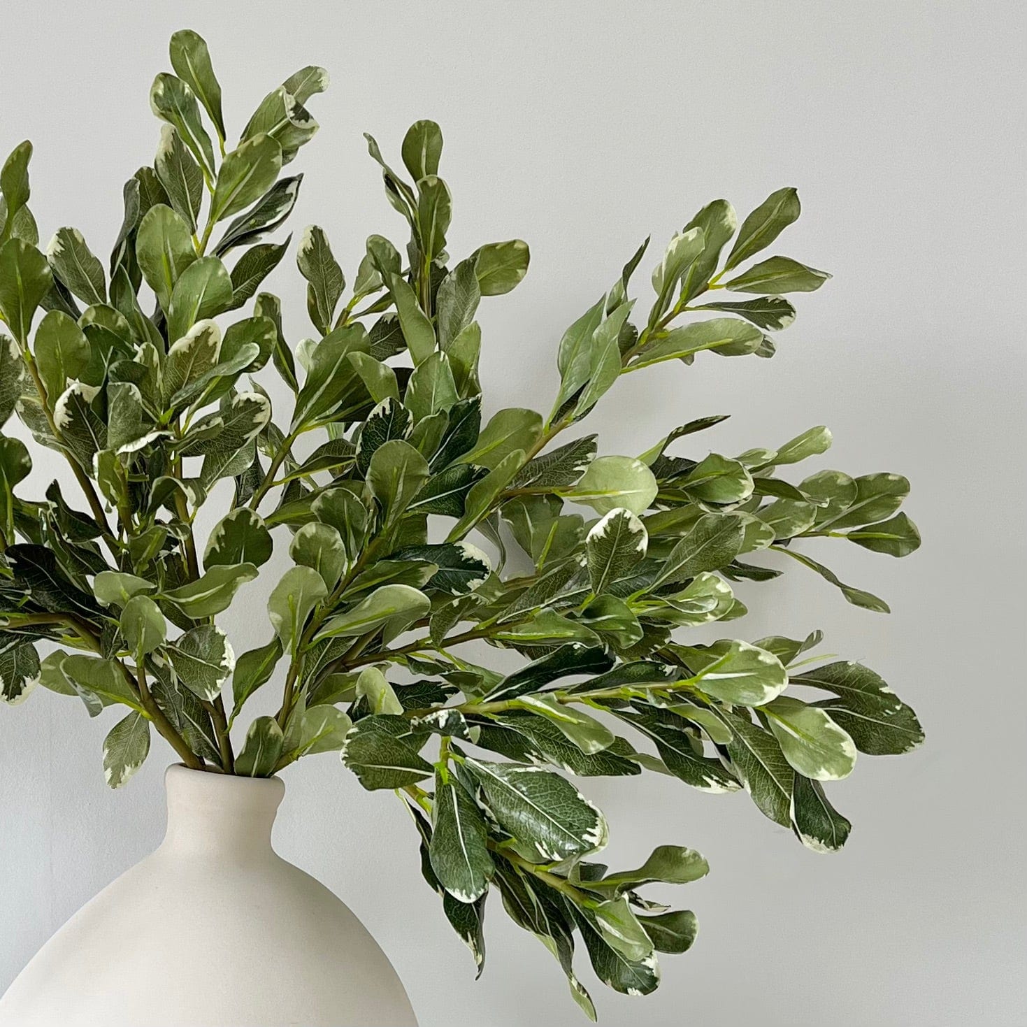 Artificial flowers luxury lifelike faux Artificial Green Pittosporum Leaves realistic silk  single stems buy online from The Faux Flower Company