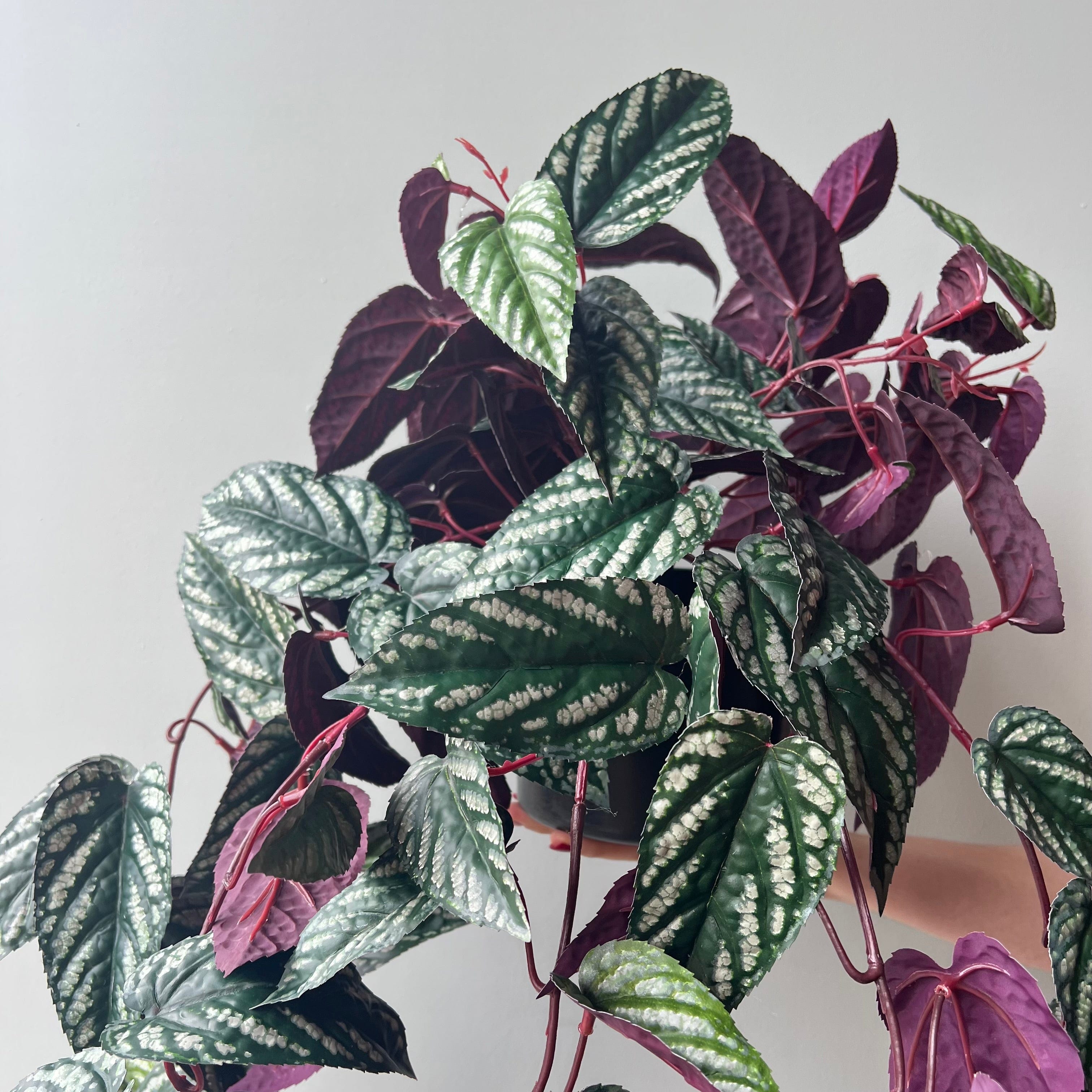 Artificial flowers luxury lifelike faux Artificial Large Burgundy Hanging Begonia Vine in Black Pot realistic silk Plants buy online from The Faux Flower Company AHCH-2706