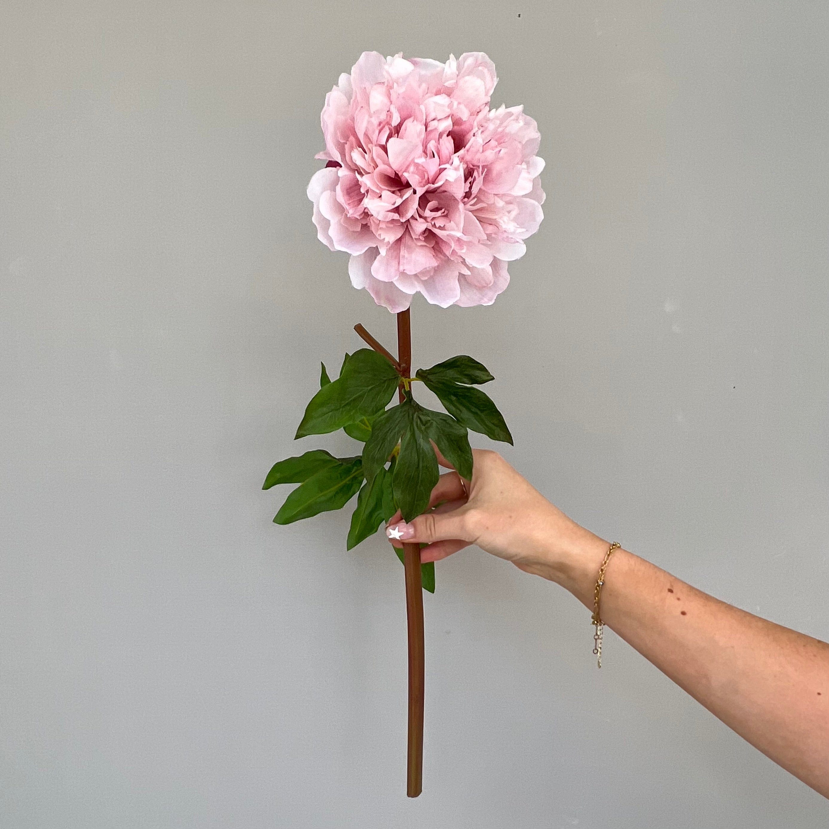 Artificial flowers luxury lifelike faux Artificial Pale Pink Extra Large Peony realistic silk single stems buy online from The Faux Flower Company