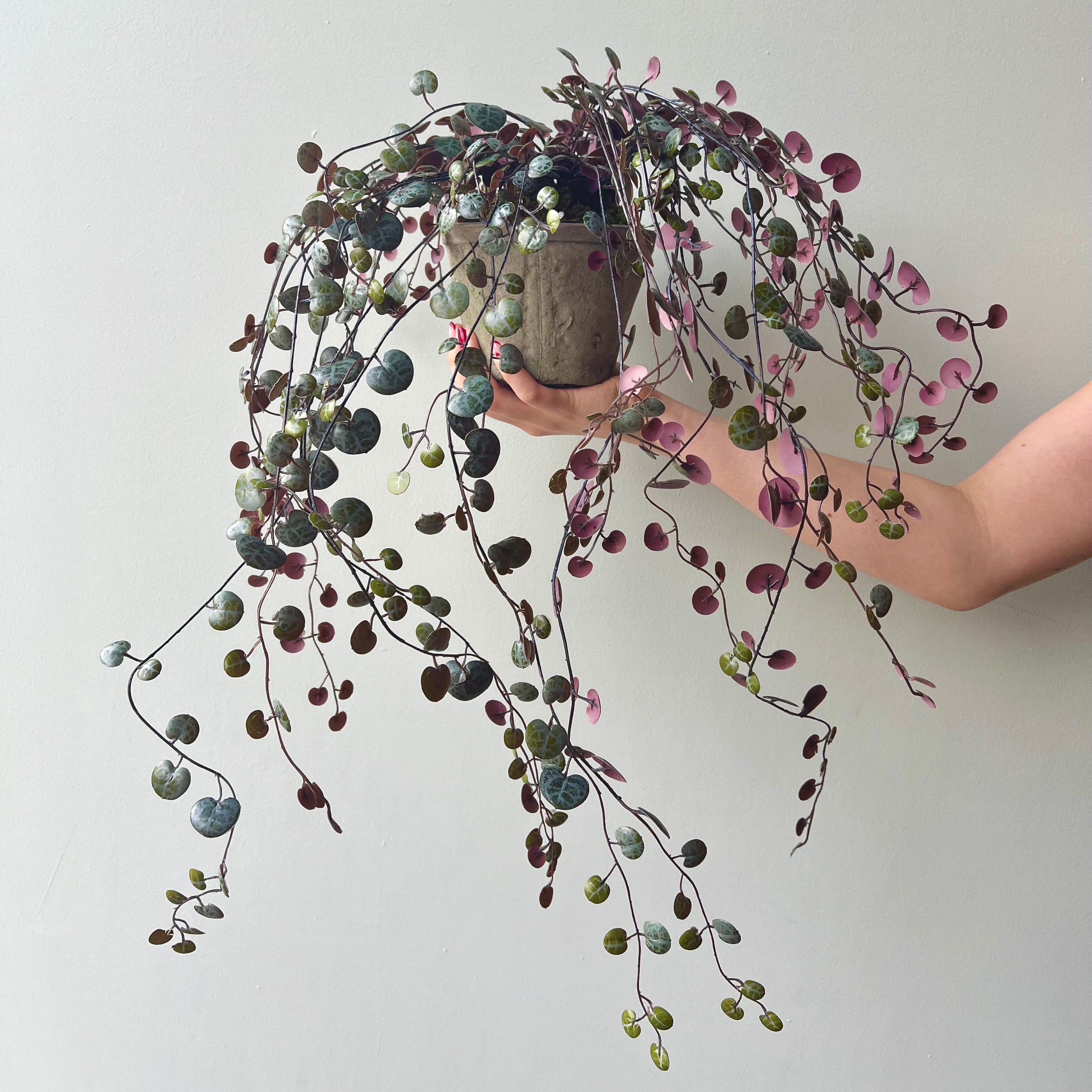 Artificial flowers luxury lifelike faux Artificial Purple Hanging Angel Vine Plant with Grey Cement Pot realistic silk Plants buy online from The Faux Flower Company AHCH-0781