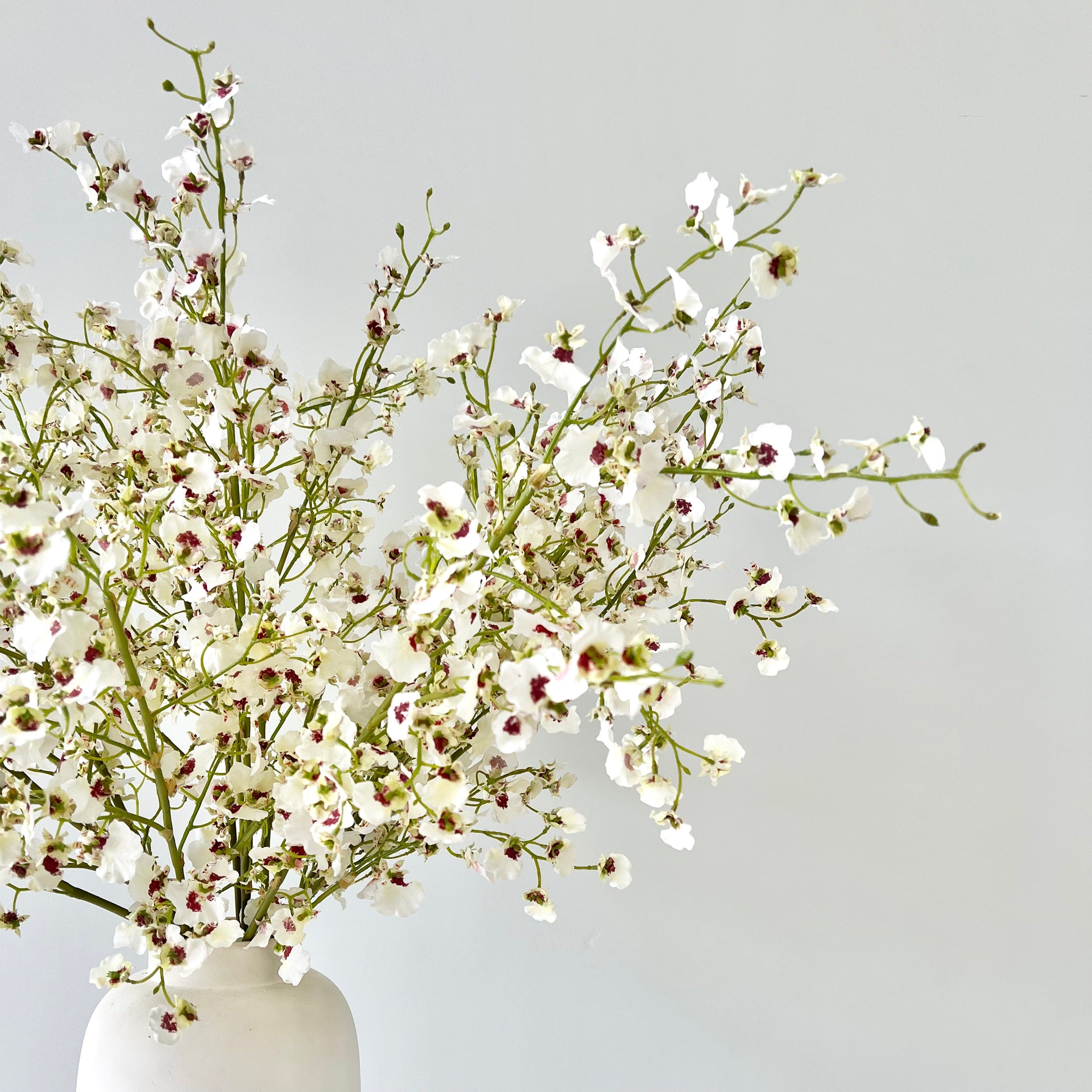 Artificial flowers luxury lifelike faux Artificial White Oncidium Orchid realistic silk single stems buy online from The Faux Flower Company