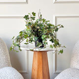 Artificial Green & White Variegated Ivy In Pot