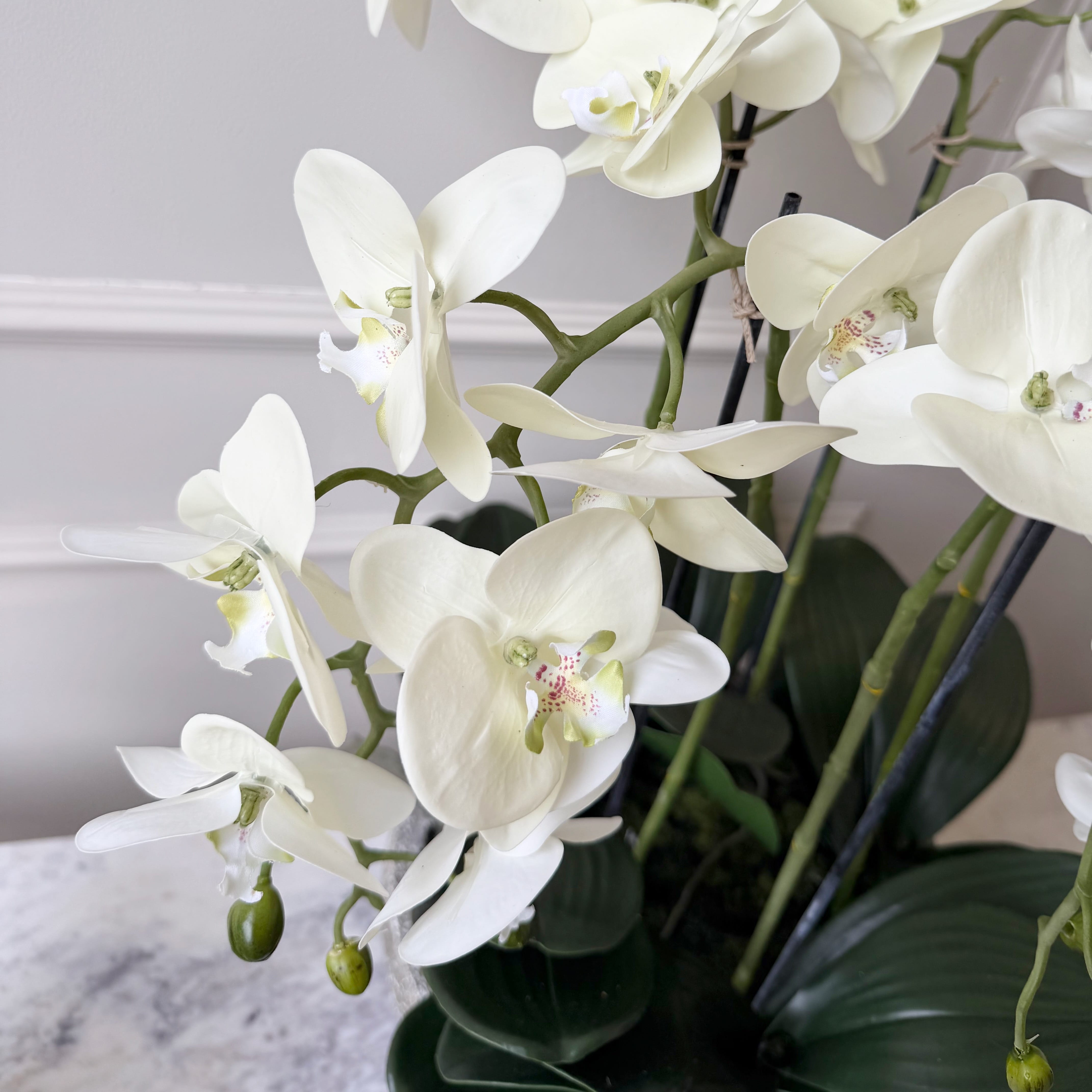 Realistic Artificial Large Cream Phalaenopsis Orchid in Stone-look Bowl AHCH-1700 by The Faux Flower Company