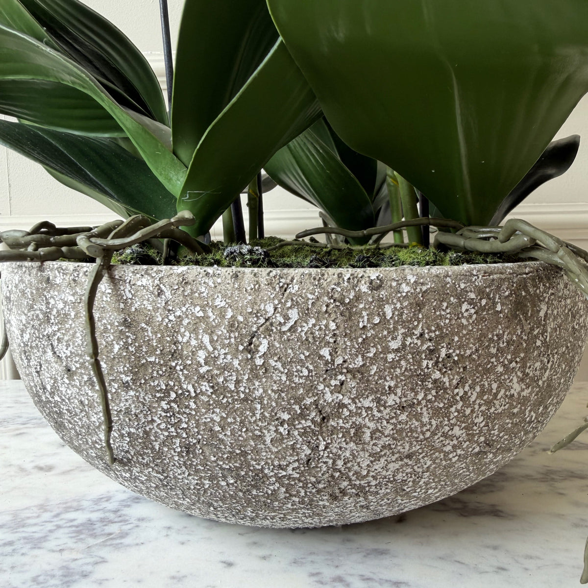 Realistic Artificial Large Cream Phalaenopsis Orchid in Stone-look Bowl AHCH-1700 by The Faux Flower Company