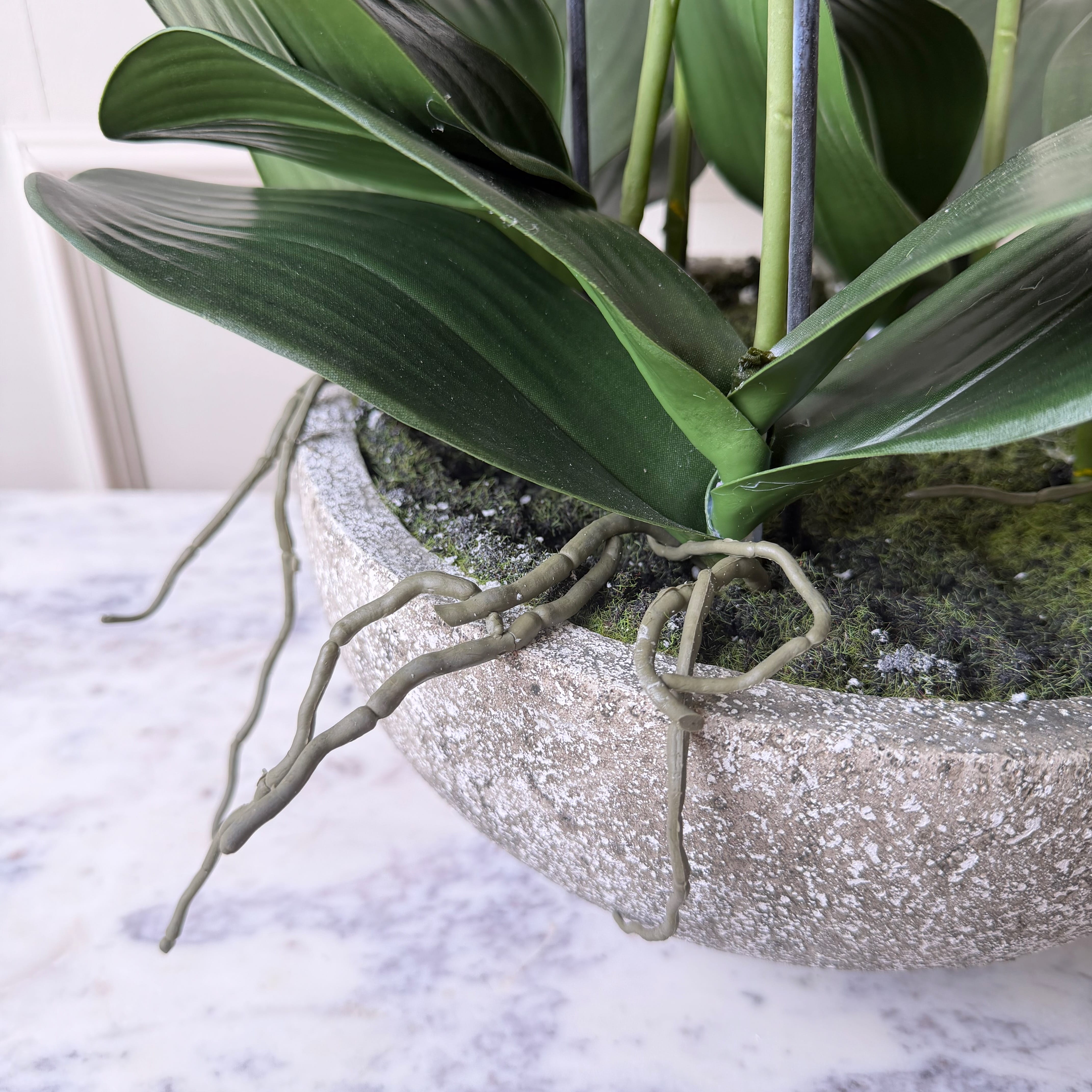 Realistic Artificial Large Cream Phalaenopsis Orchid in Stone-look Bowl AHCH-1700 by The Faux Flower Company