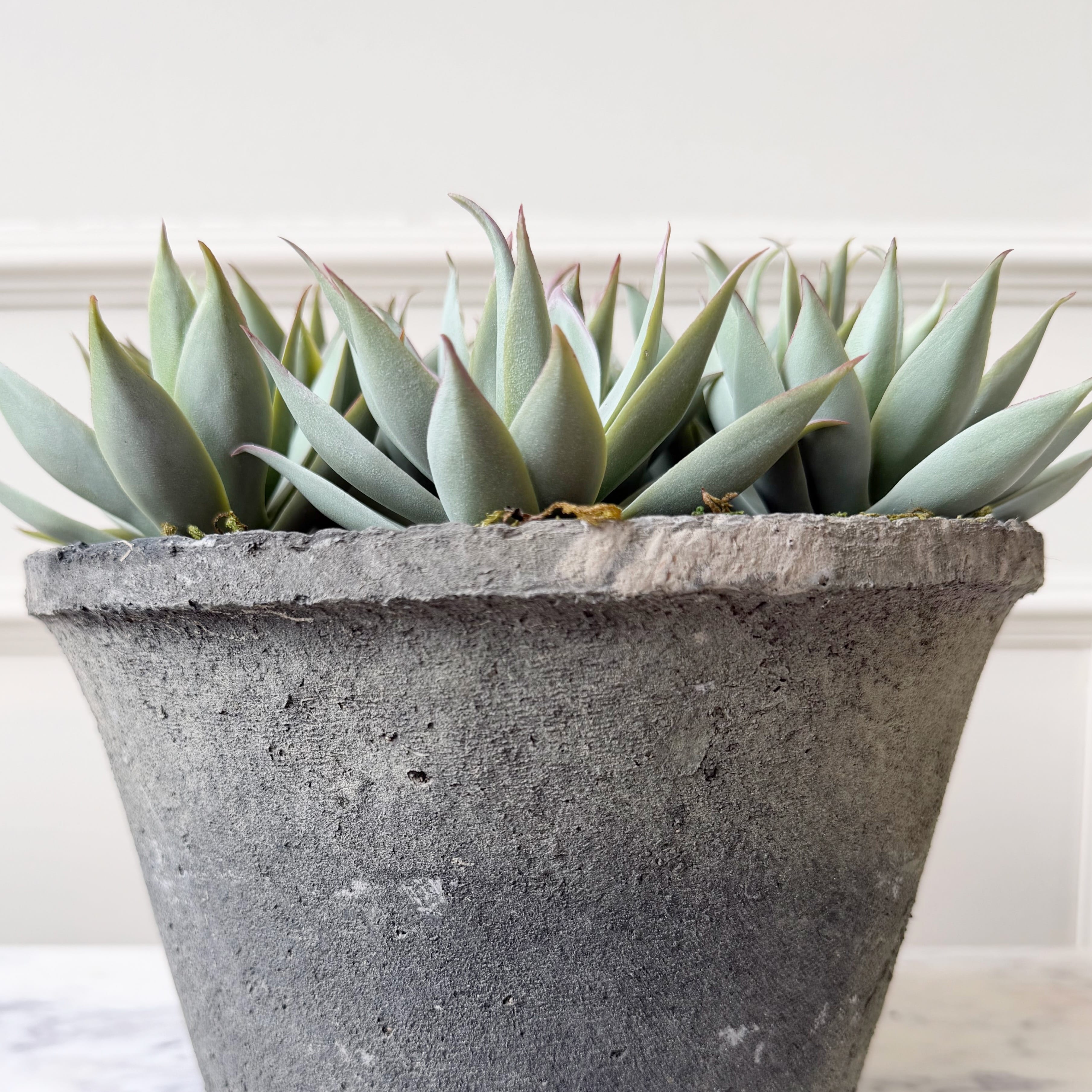 Realistic Artificial Large Succulents in Rustic Grey Pot AHCH-0973 by The Faux Flower Company