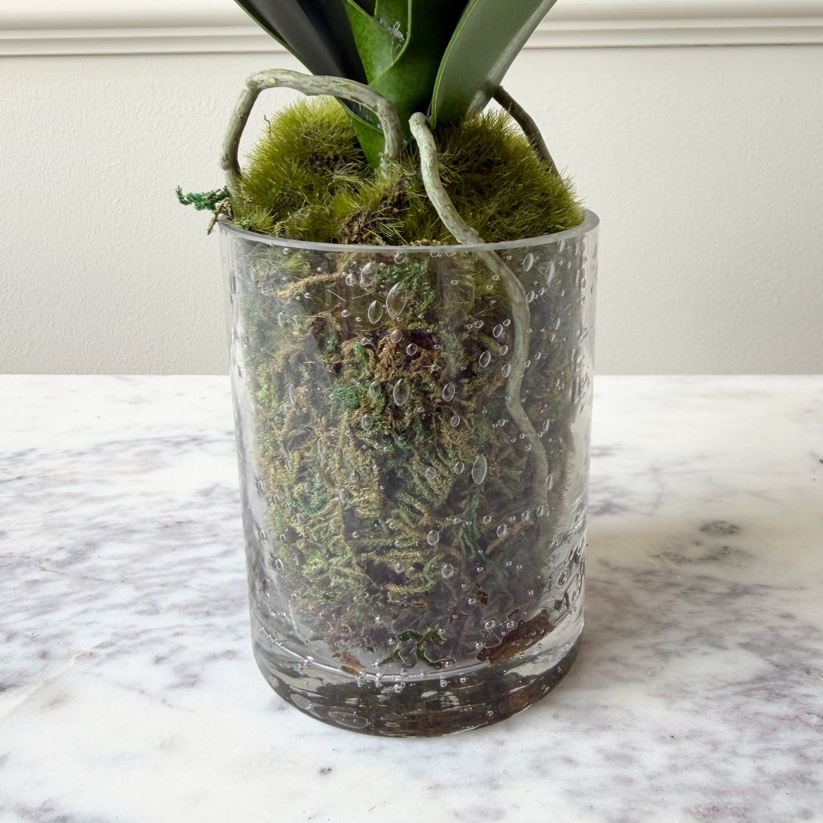 Realistic Artificial Lime Phalaenopsis Orchid in Glass Vase AHCH-0970 by The Faux Flower Company