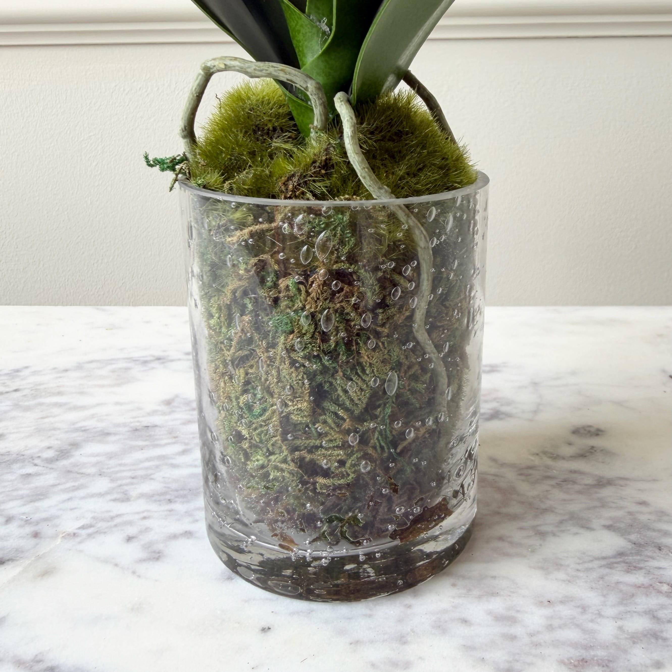 Realistic Artificial Lime Phalaenopsis Orchid in Glass Vase AHCH-0970 by The Faux Flower Company