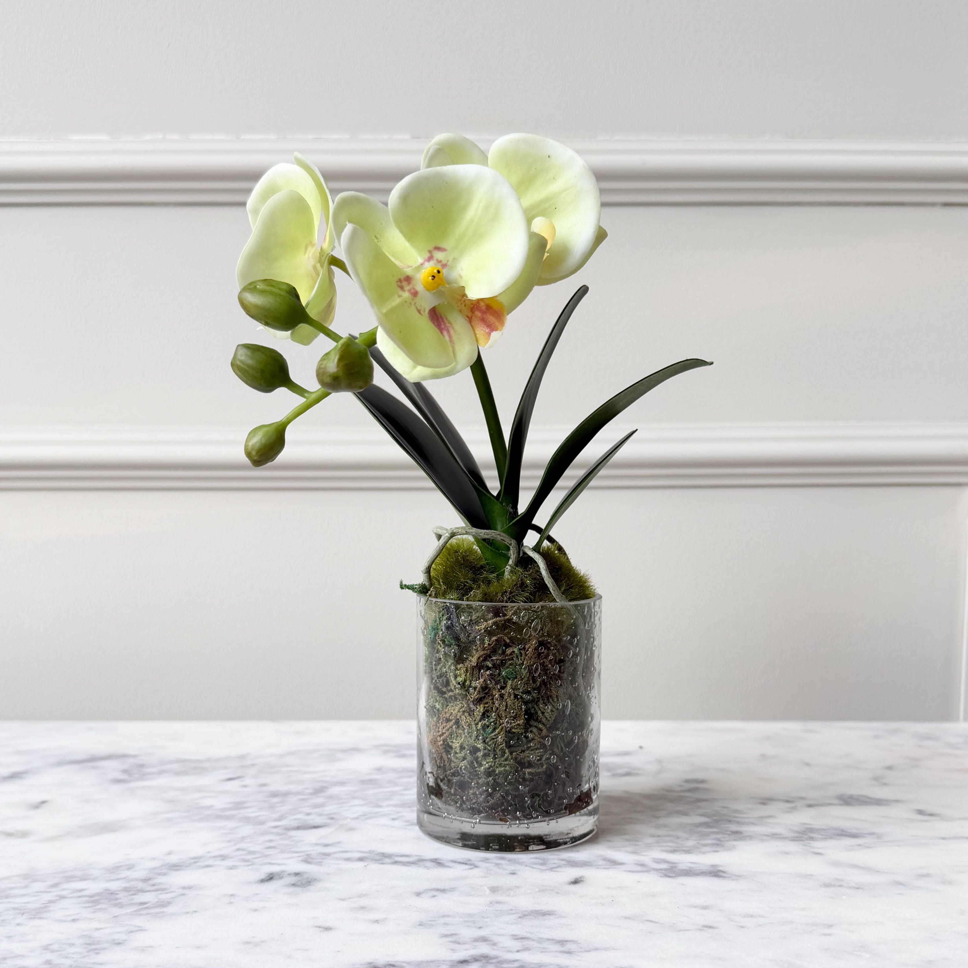 Realistic Artificial Lime Phalaenopsis Orchid in Glass Vase AHCH-0970 by The Faux Flower Company