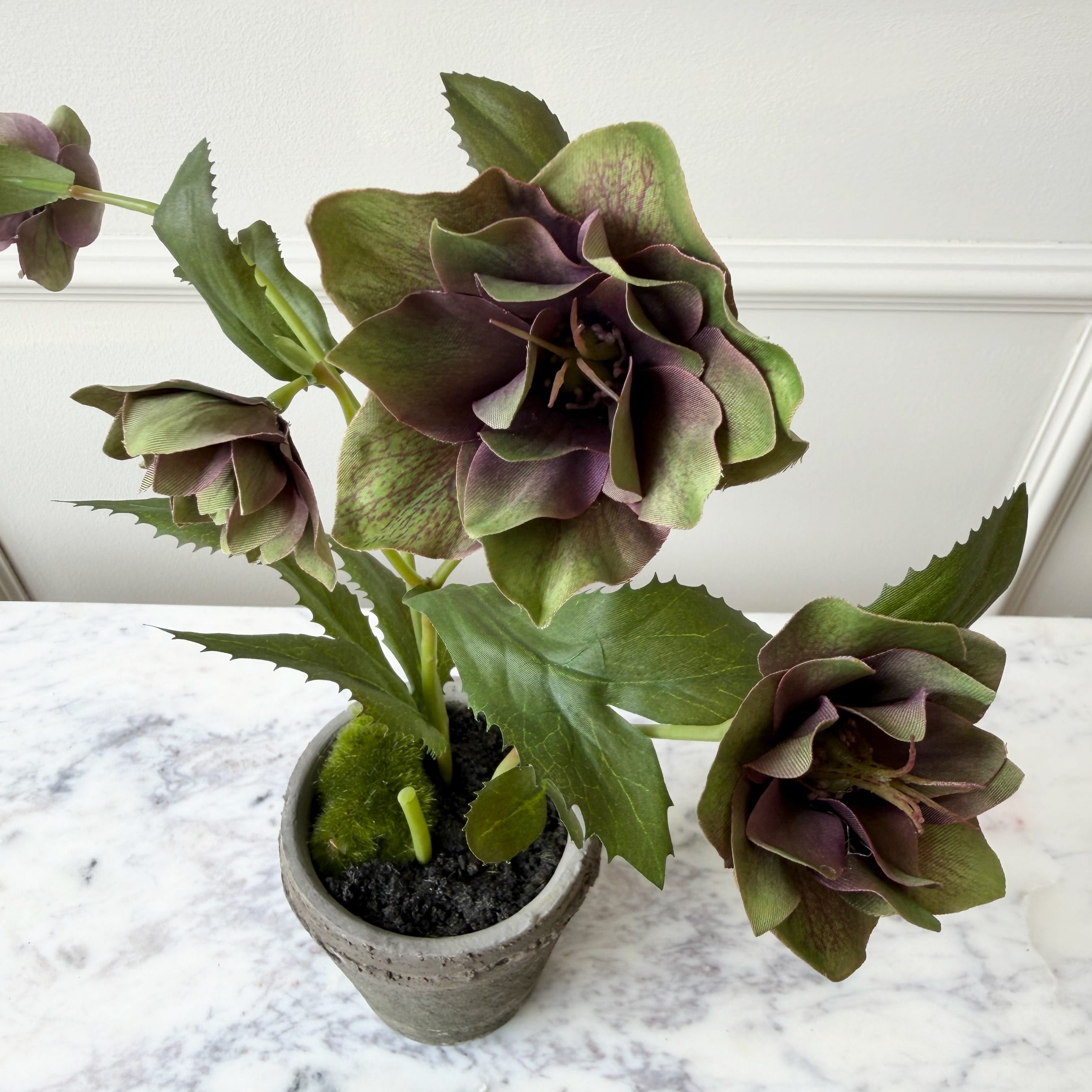 Realistic Artificial Purple & Green Hellebore Plant in Pot AHCH-1054 by The Faux Flower Company
