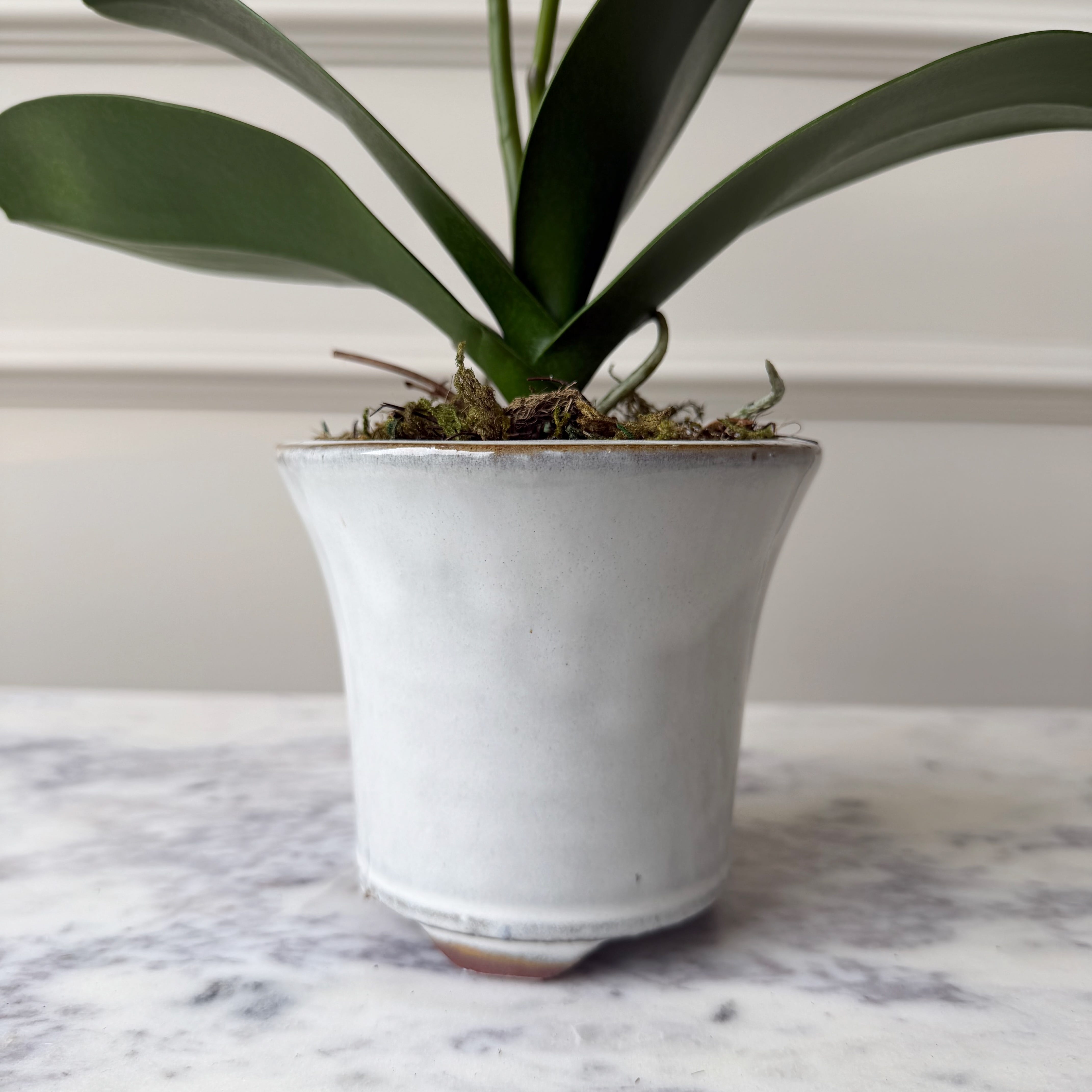 Realistic Artificial White Phalaenopsis Orchid in Ceramic Pot AHCH-1056 by The Faux Flower Company
