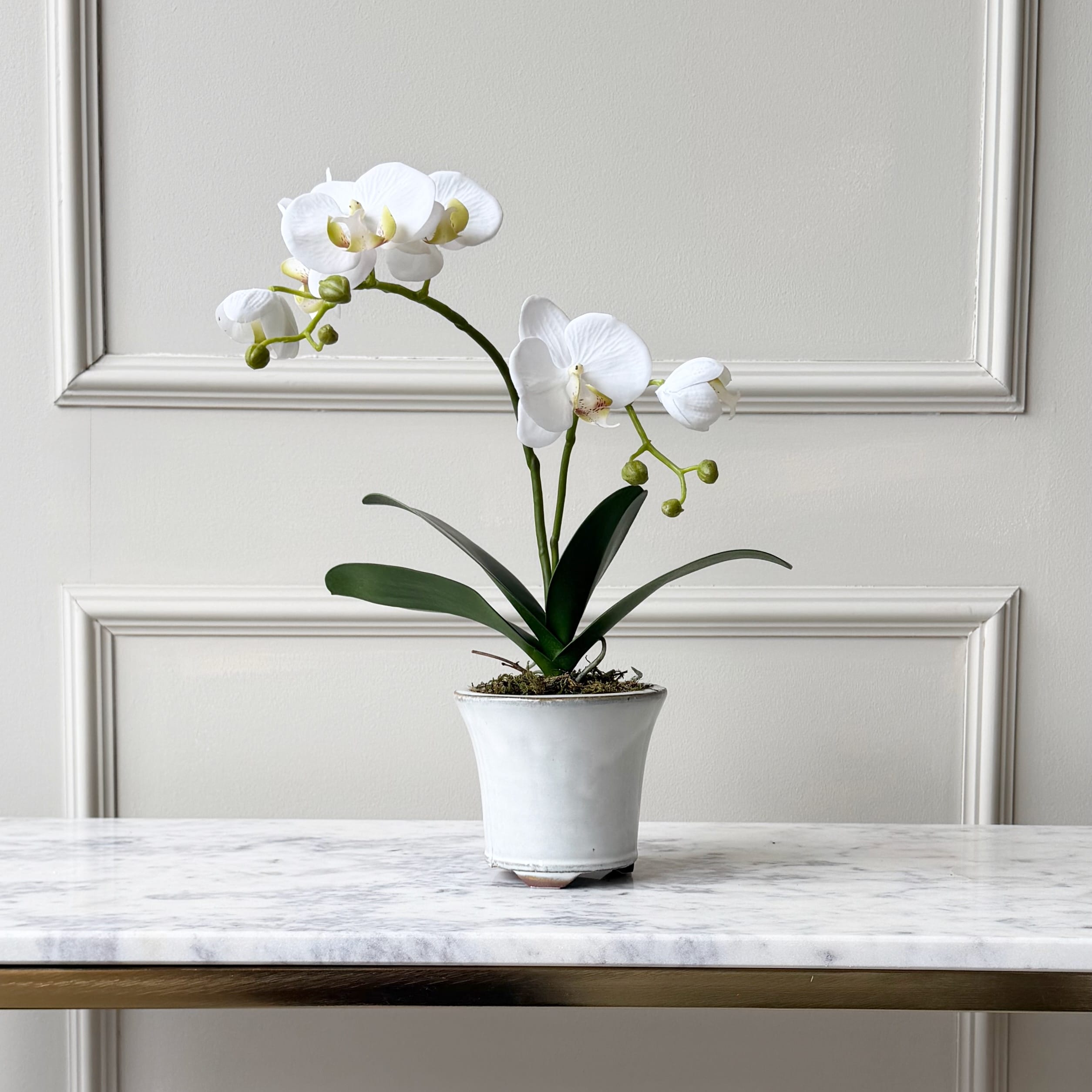 Realistic Artificial White Phalaenopsis Orchid in Ceramic Pot AHCH-1056 by The Faux Flower Company