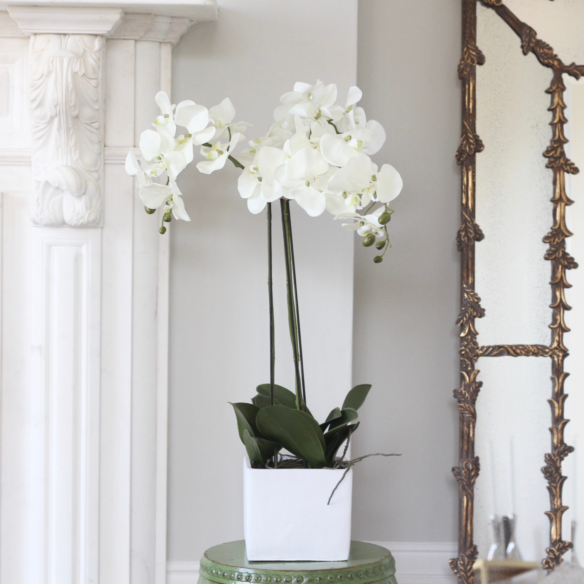 This artificial orchid is the most realistic faux orchid in pot, a large silk orchid with white flowers from Amaranthine Blooms UK