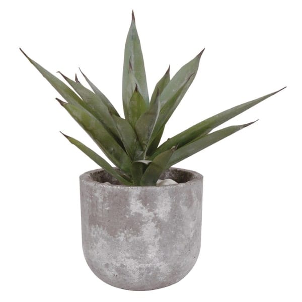 Artificial Plants Aloe Vera in Grey Cement Pot - medium
