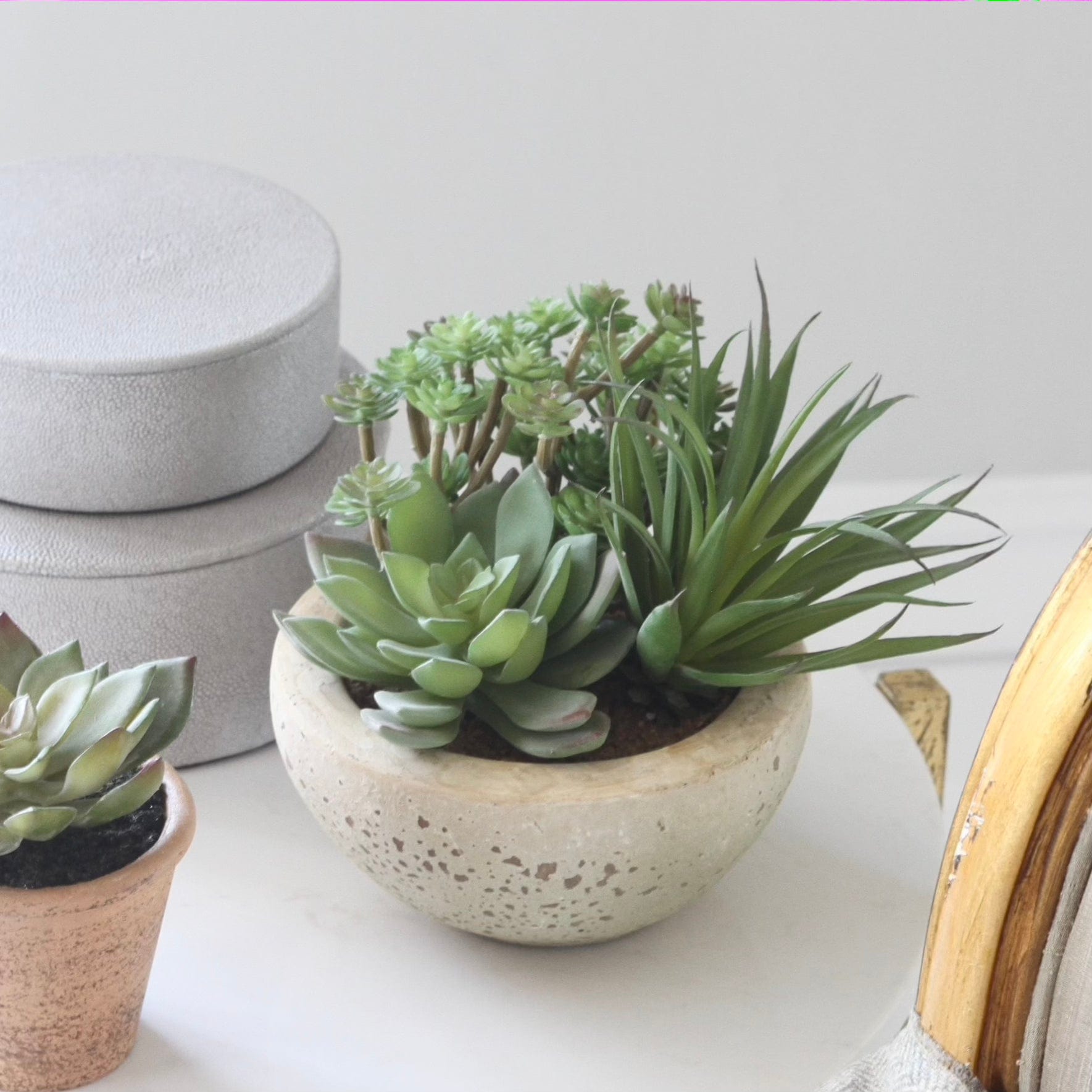Artificial succulent plant in pot the most realistic artificial indoor plant in the UK, a perfect small artificial plant from Amaranthine Blooms UK