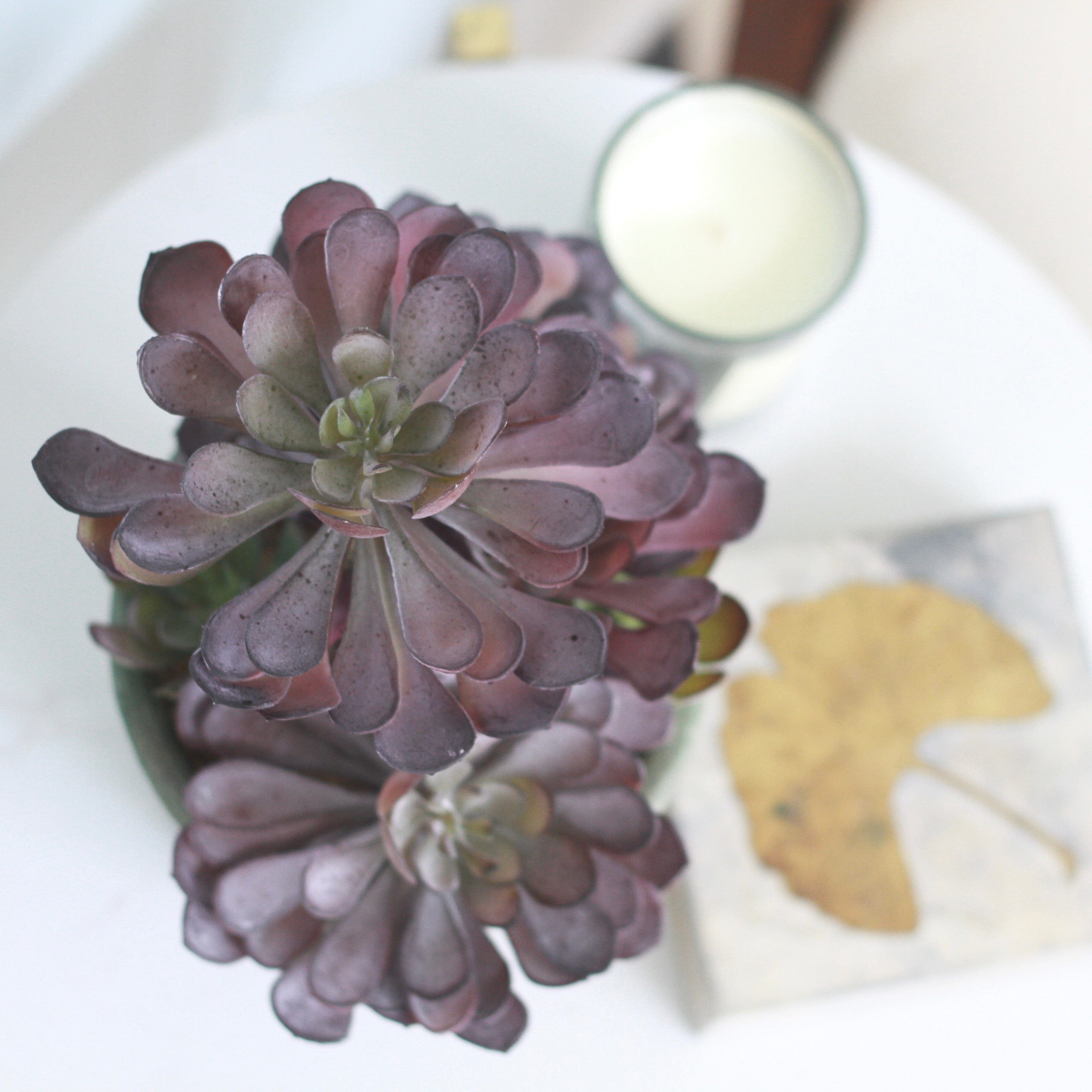 Artificial flowers luxury lifelike faux Artificial Black Succulent Aeonium with Pot realistic silk  Plants buy online from The Faux Flower Company AHCH-1904