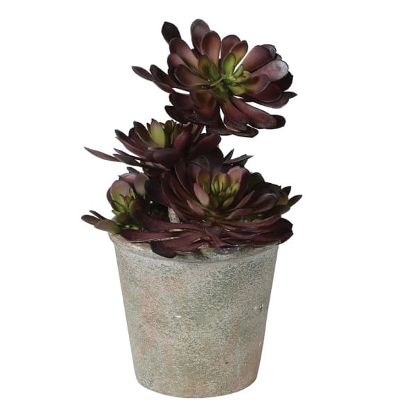 Artificial flowers luxury lifelike faux Artificial Black Succulent Aeonium with Pot realistic silk  Plants buy online from The Faux Flower Company AHCH-1904