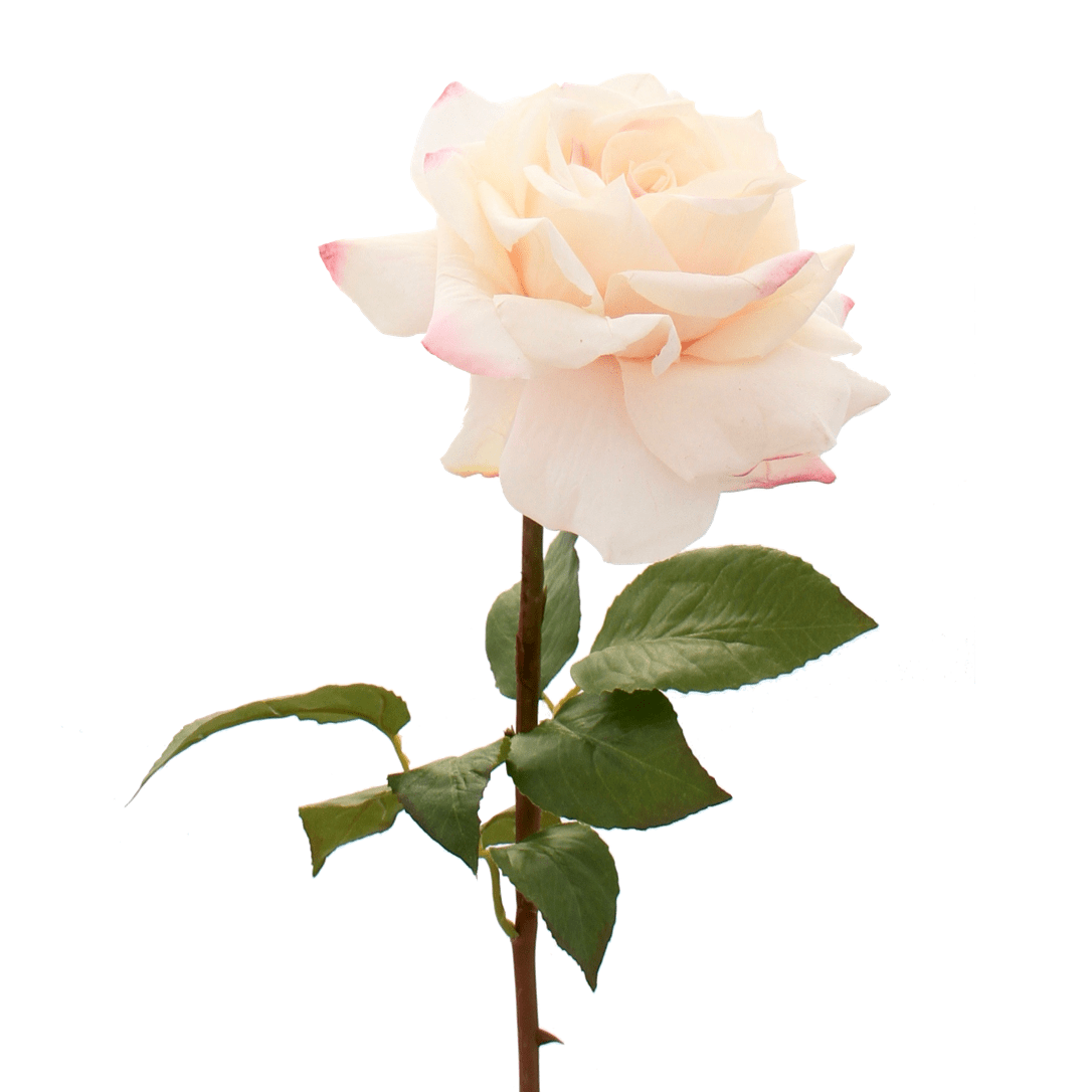 Artificial flowers luxury lifelike faux Artificial Blush Pink Tea Rose realistic silk single stems buy online from The Faux Flower Company