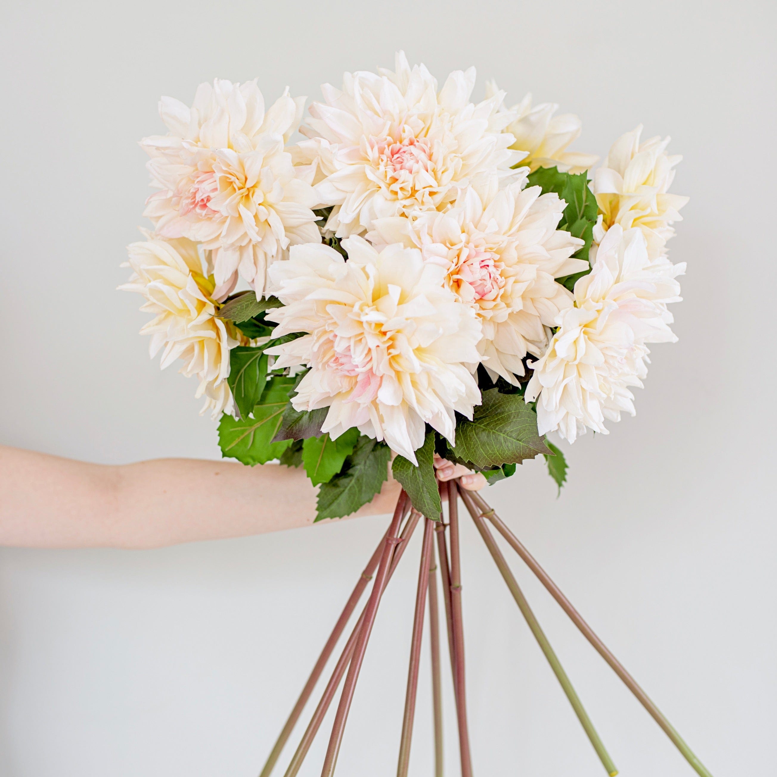 Artificial flowers luxury lifelike faux Artificial Cafe Au Lait Dahlia realistic silk single stems buy online from The Faux Flower Company