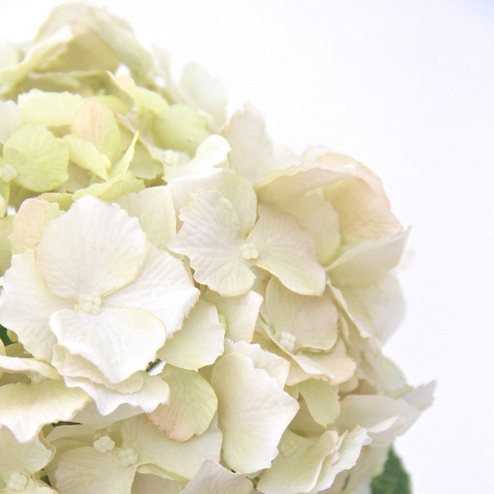 Artificial flowers luxury lifelike faux Artificial Cream Hydrangea Lacecap realistic silk single stems buy online from The Faux Flower Company