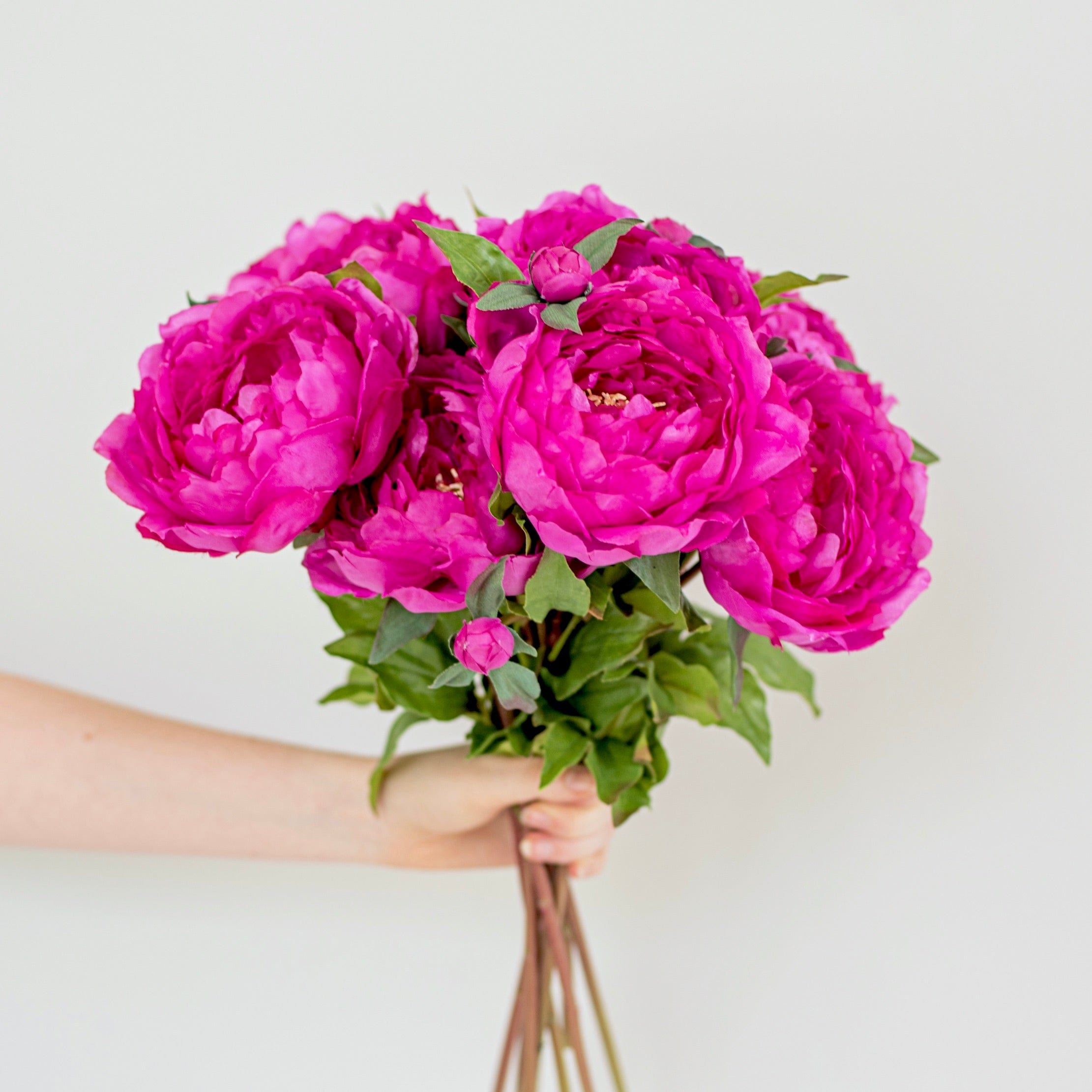 Artificial flowers luxury lifelike faux Artificial Fuchsia Peony realistic silk single stems buy online from The Faux Flower Company ABY6043FU-6