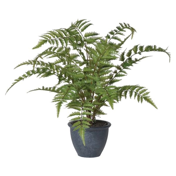 Artificial flowers luxury lifelike faux Artificial Green Bracken Fern in Dark Grey Pot realistic silk Plants buy online from The Faux Flower Company AHCH-1422
