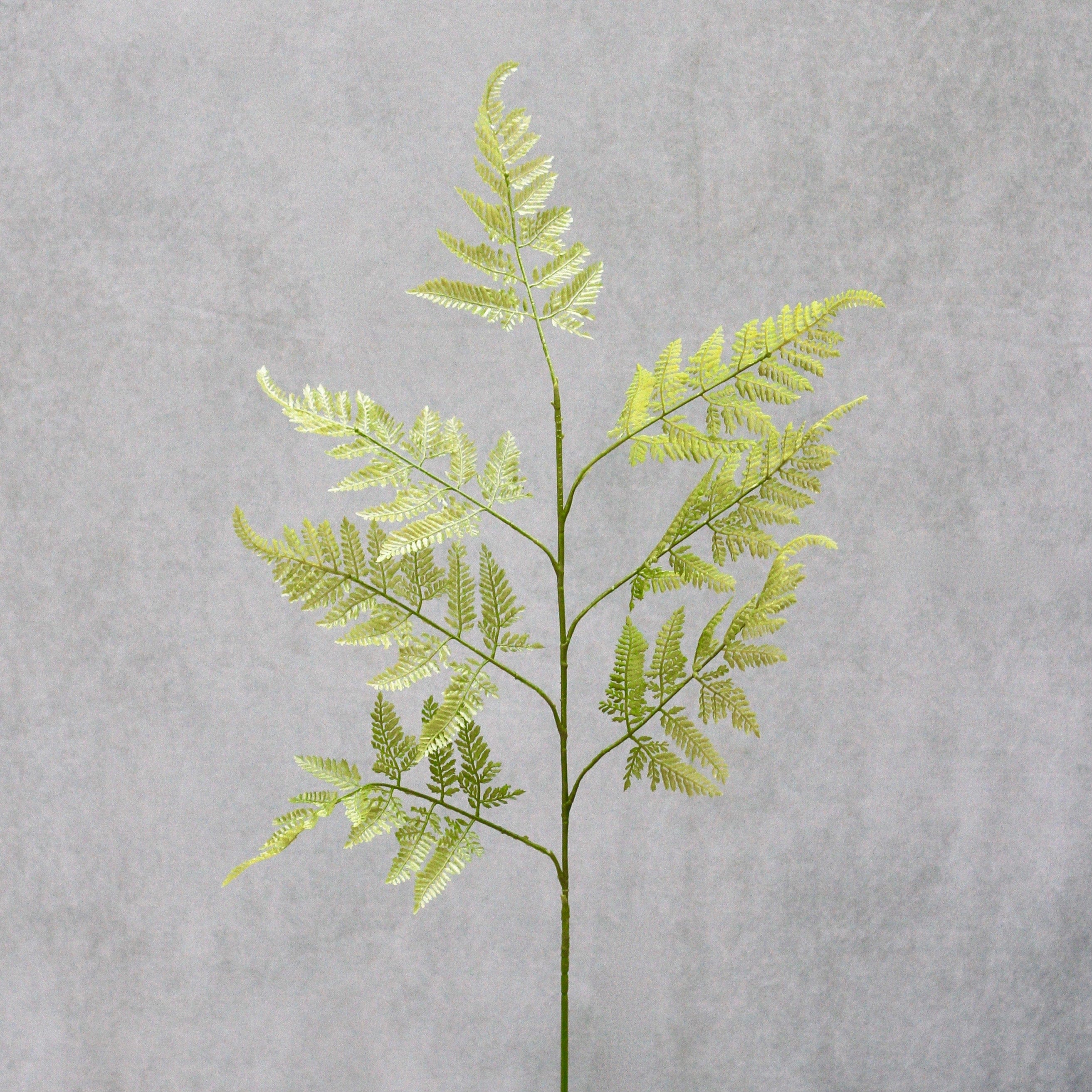 Artificial flowers luxury lifelike faux Artificial Green Bracken Fern realistic silk single stems buy online from The Faux Flower Company