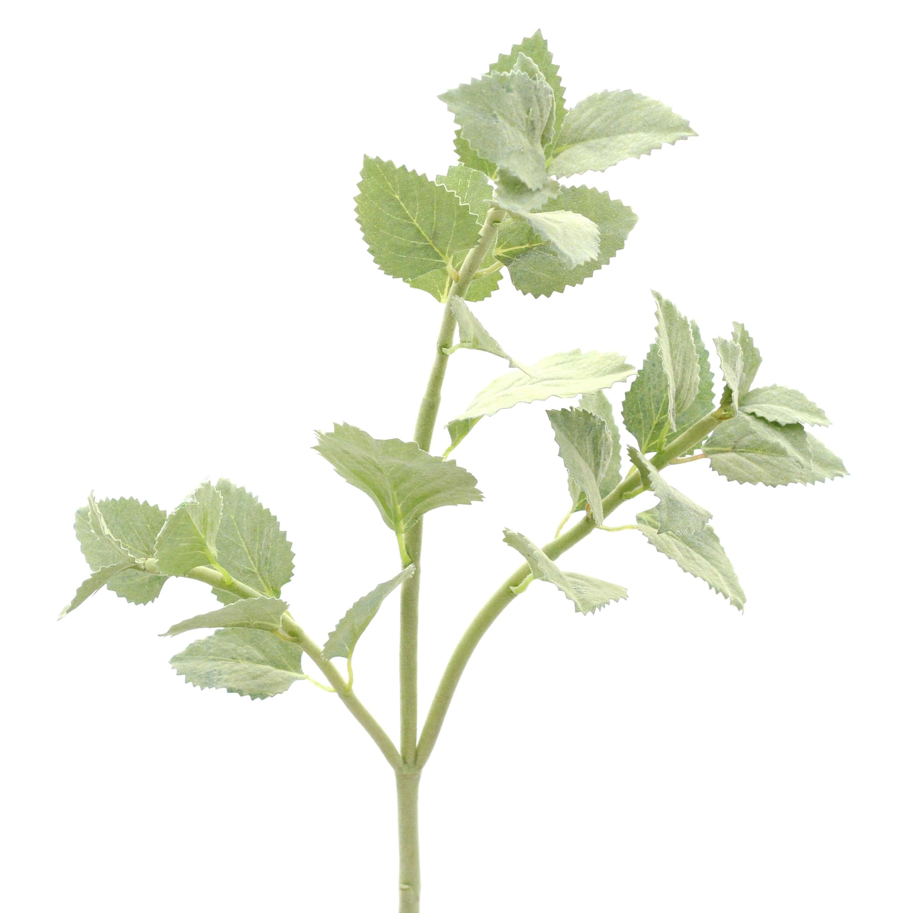Artificial flowers luxury lifelike faux Artificial Green Nettle Leaves realistic silk single stems buy online from The Faux Flower Company