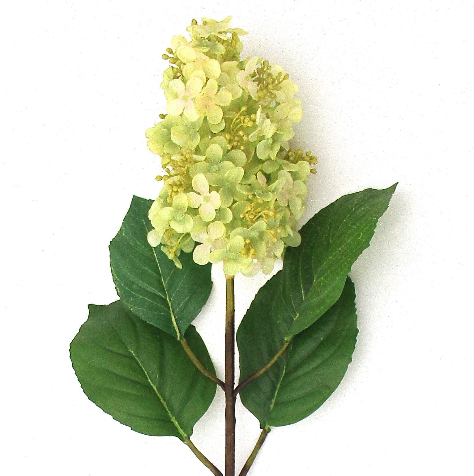 Artificial flowers luxury lifelike faux Artificial Green Paniculata Hydrangea realistic silk single stems buy online from The Faux Flower Company
