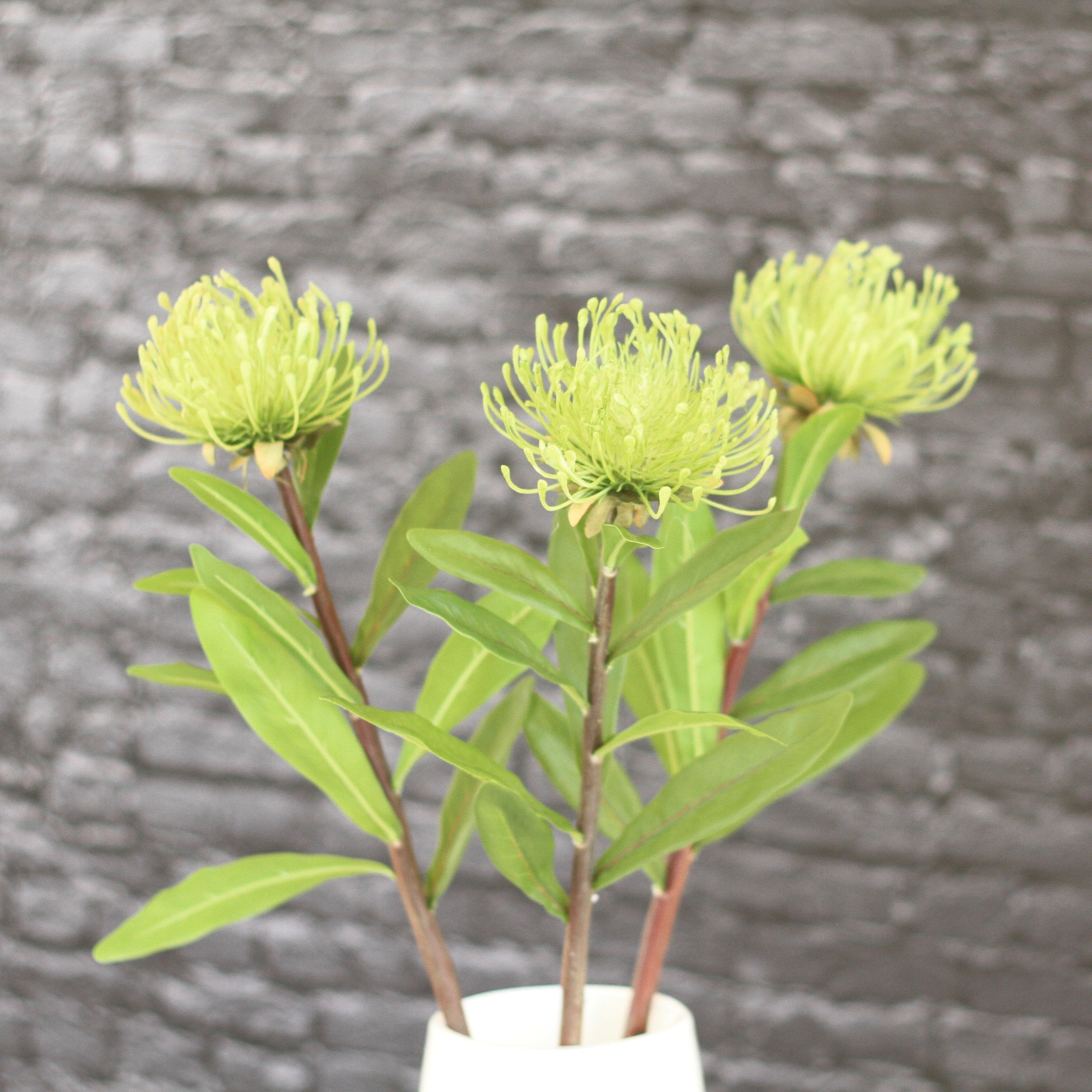Artificial flowers luxury lifelike faux Artificial Green Pincushion Protea realistic silk single stems buy online from The Faux Flower Company ABZ5379GR