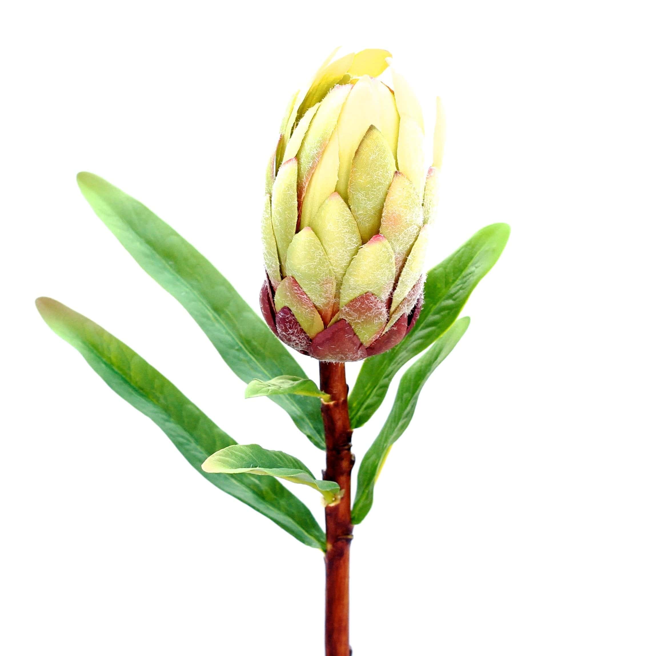 Artificial flowers luxury lifelike faux Artificial Green Protea Stem realistic silk single stems buy online from The Faux Flower Company