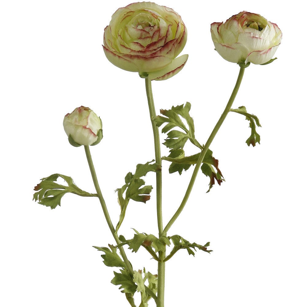Artificial flowers luxury lifelike faux Artificial Green Ranunculus realistic silk single stems buy online from The Faux Flower Company