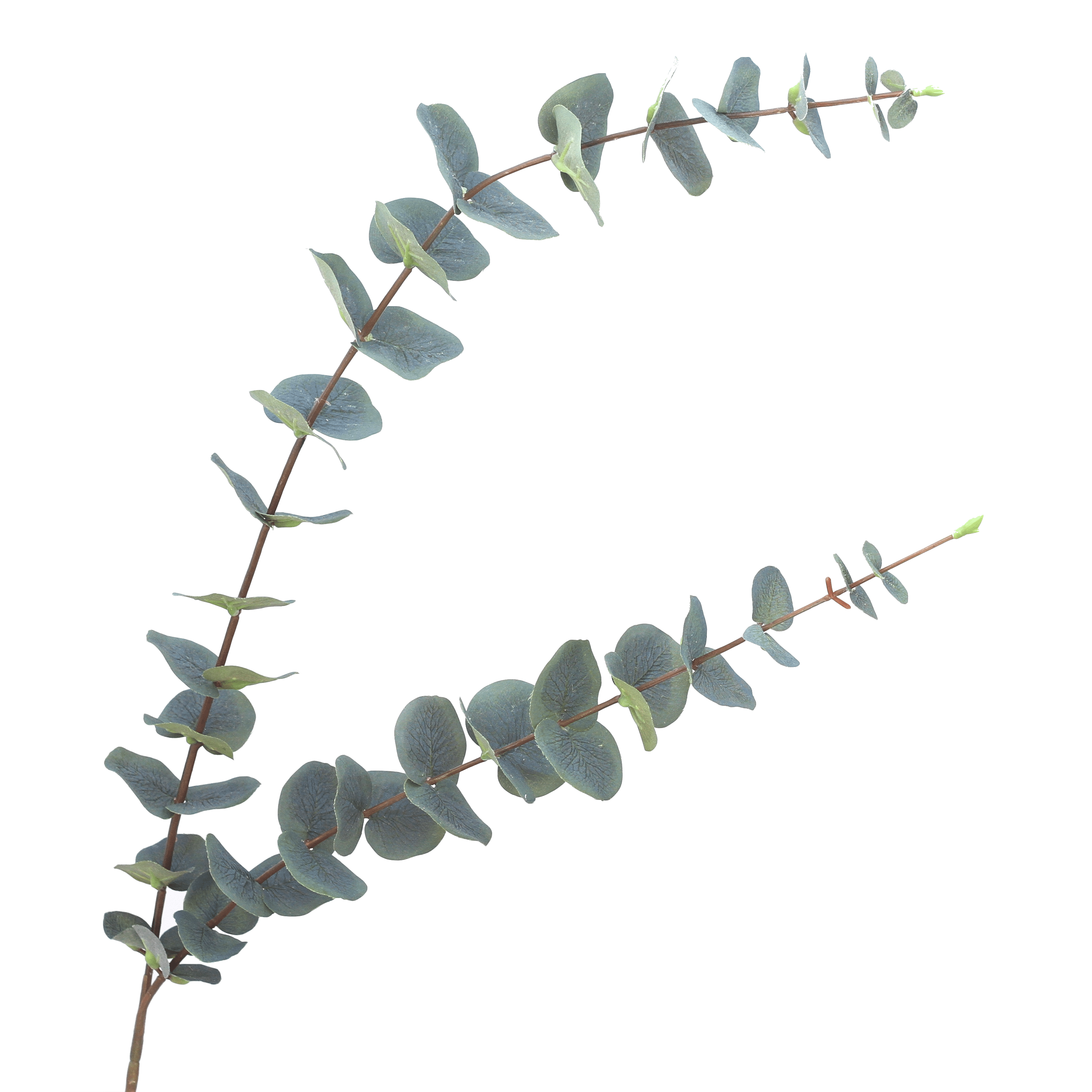 Artificial flowers luxury lifelike faux Artificial Green Tall Eucalyptus realistic silk single stems buy online from The Faux Flower Company