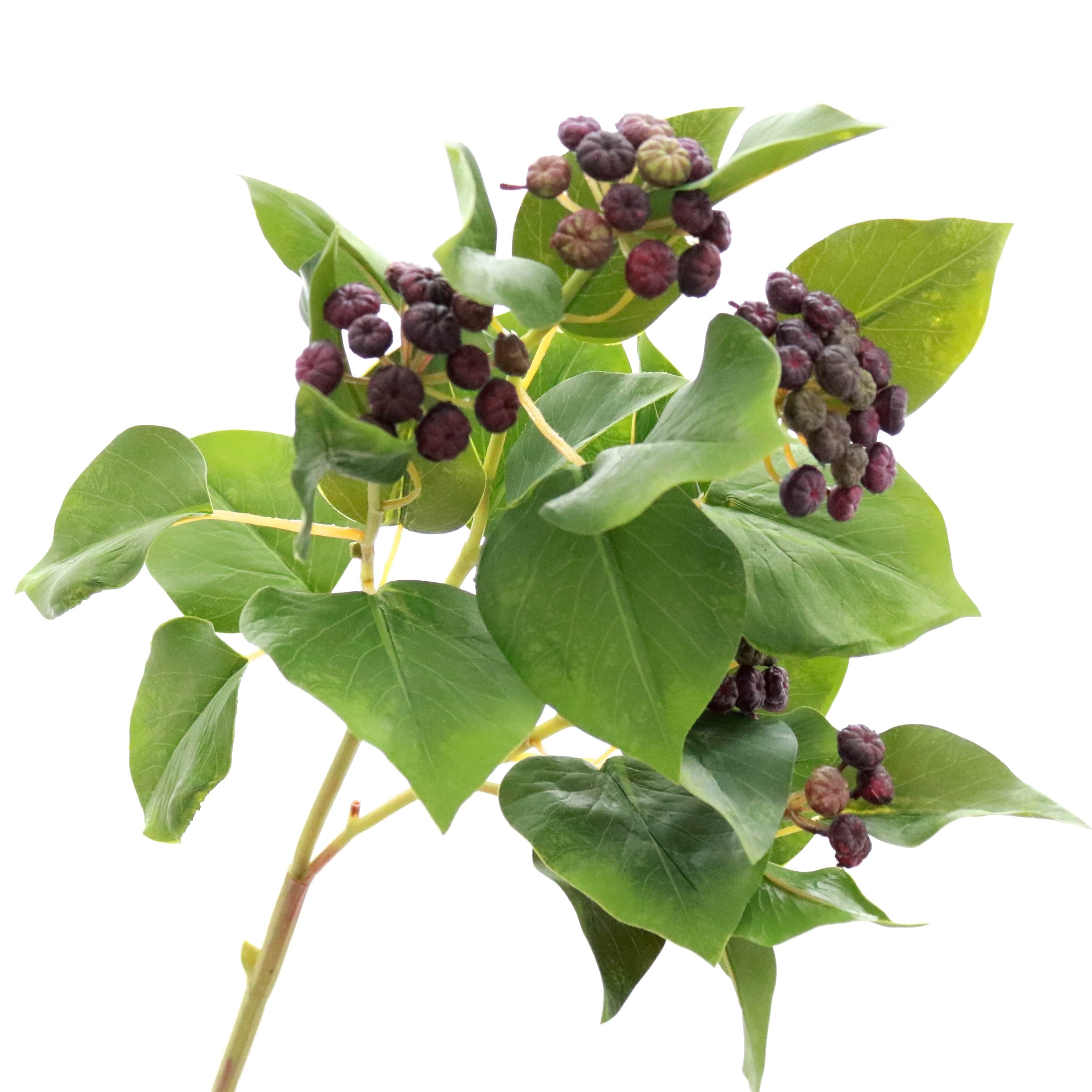 Artificial flowers luxury lifelike faux Artificial Ivy with Purple Berries realistic silk single stems buy online from The Faux Flower Company
