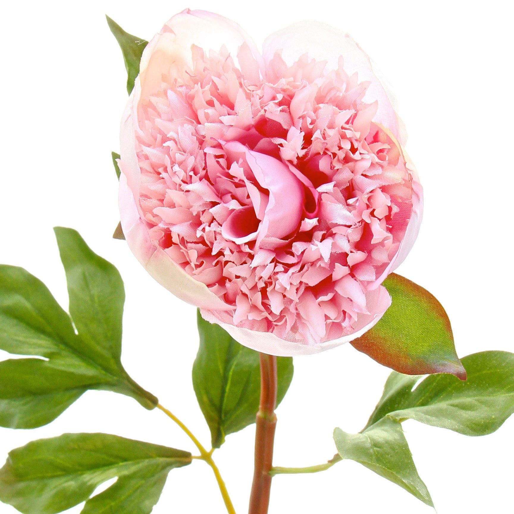 Artificial flowers luxury lifelike faux Artificial Pink Open Peony realistic silk single stems buy online from The Faux Flower Company