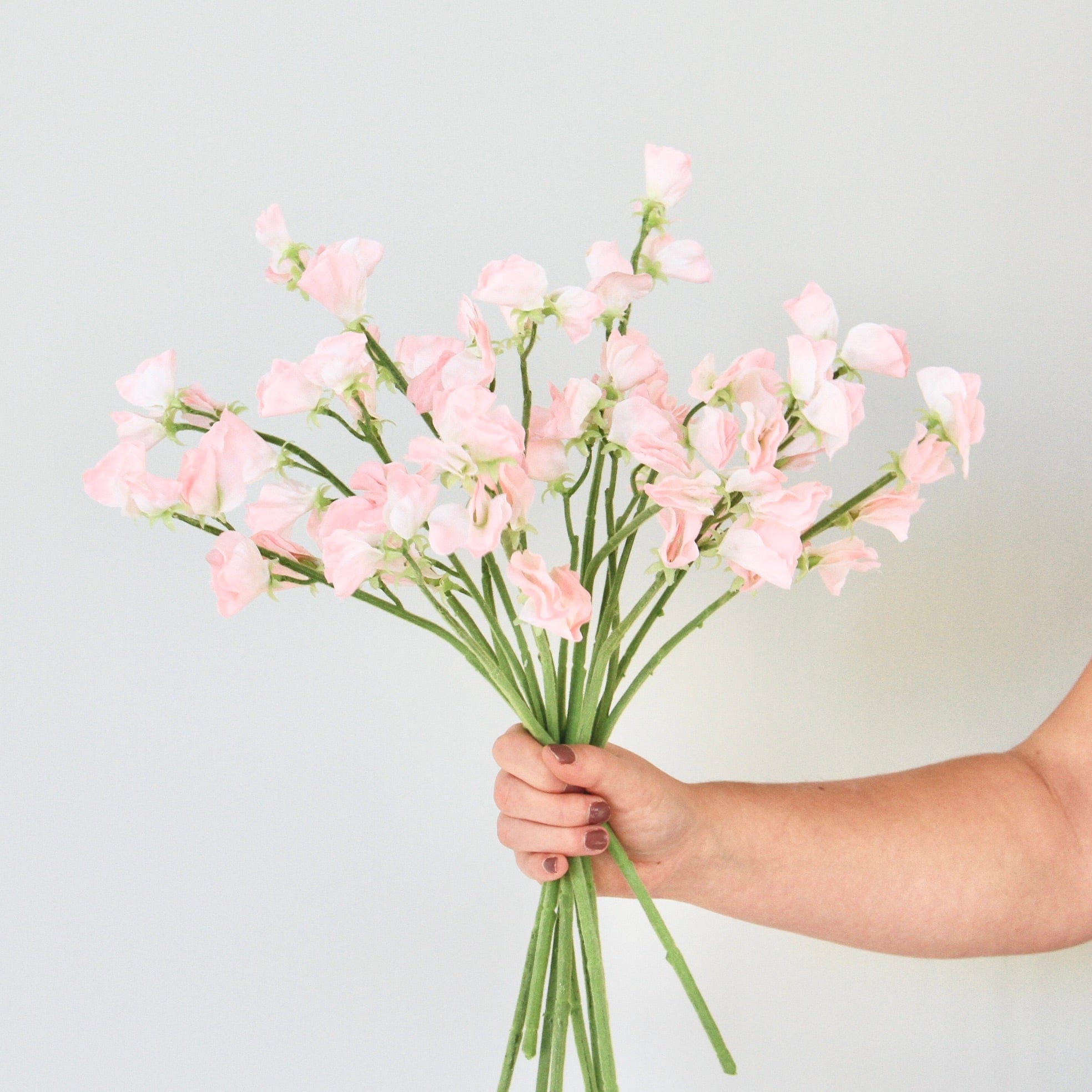 Artificial flowers luxury lifelike faux Artificial Small Light Pink Sweet Pea realistic silk single stems buy online from The Faux Flower Company