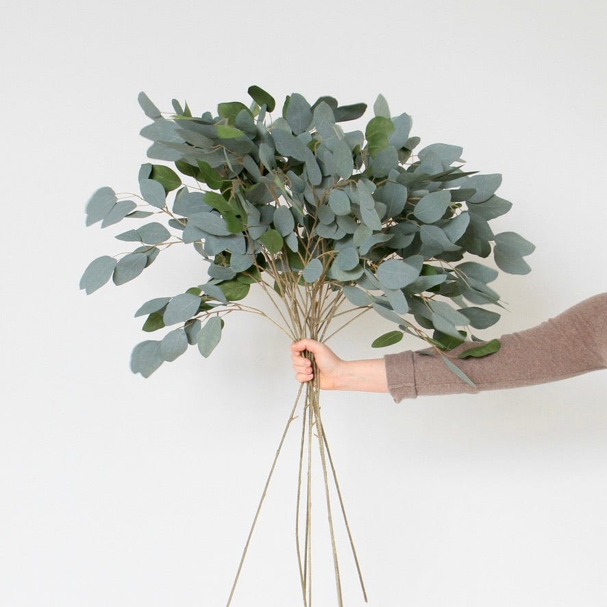 Artificial flowers luxury lifelike faux Artificial Tall Eucalyptus Spray realistic silk single stems buy online from The Faux Flower Company
