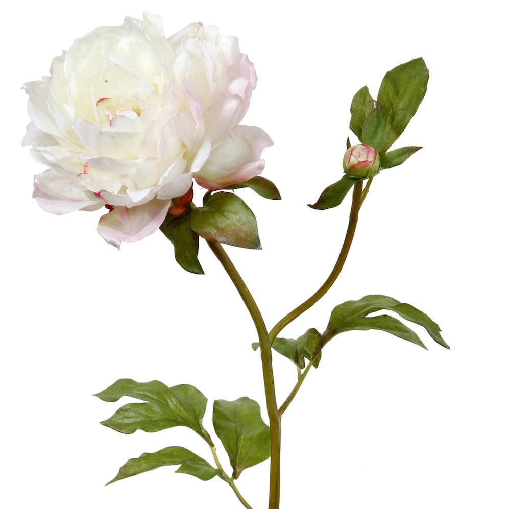 Artificial flowers luxury lifelike faux Artificial White Classic Peony realistic silk single stems buy online from The Faux Flower Company