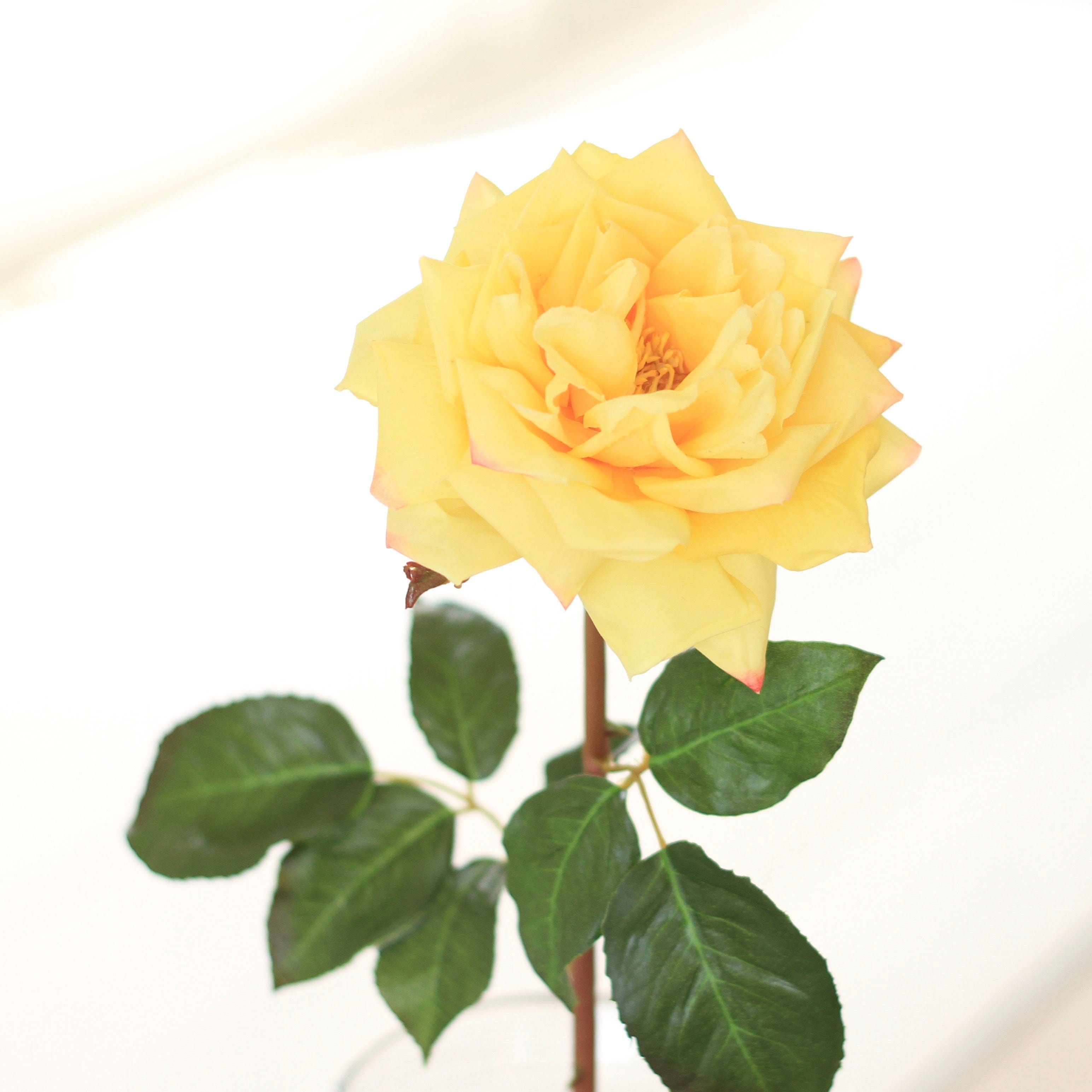 Artificial flowers luxury lifelike faux Artificial Yellow Garden Rose realistic silk single stems buy online from The Faux Flower Company