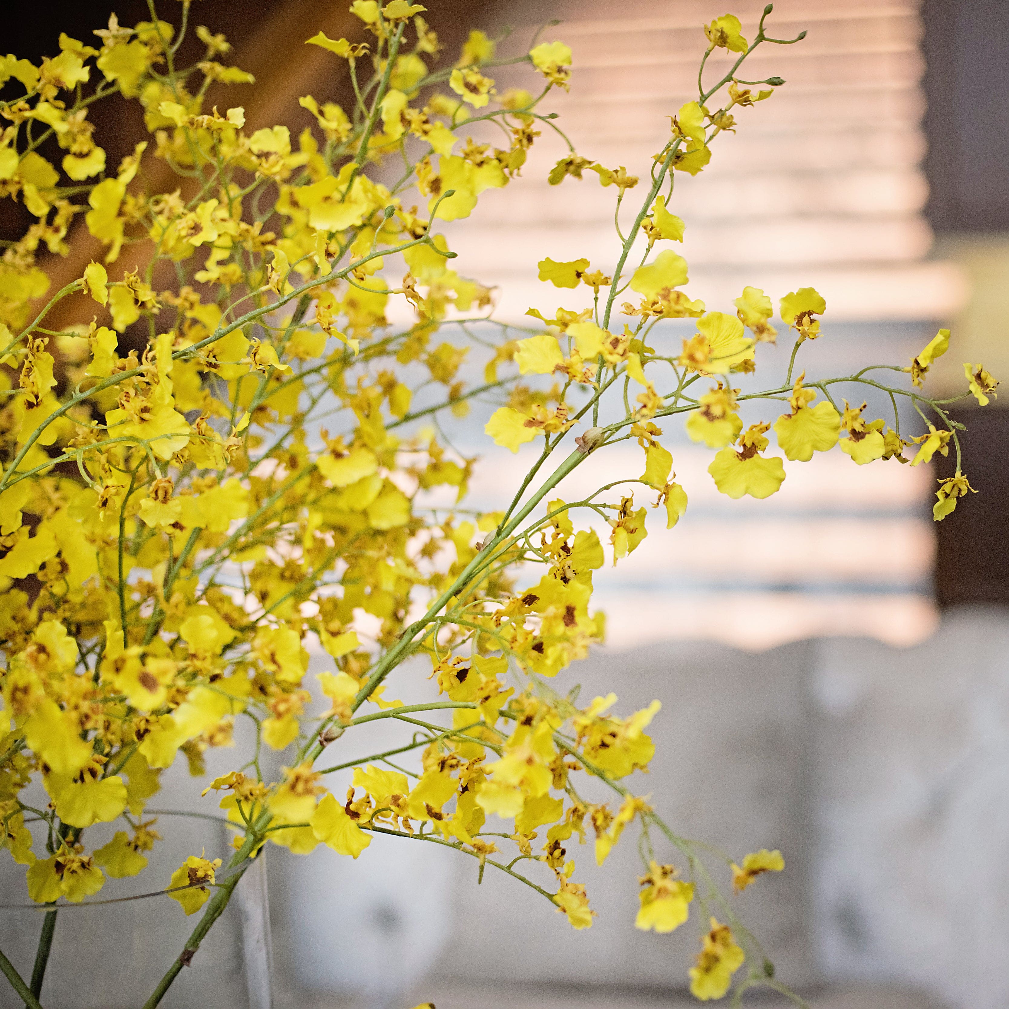 Artificial flowers luxury lifelike faux Artificial Yellow Oncidium Orchid realistic silk single stems buy online from The Faux Flower Company