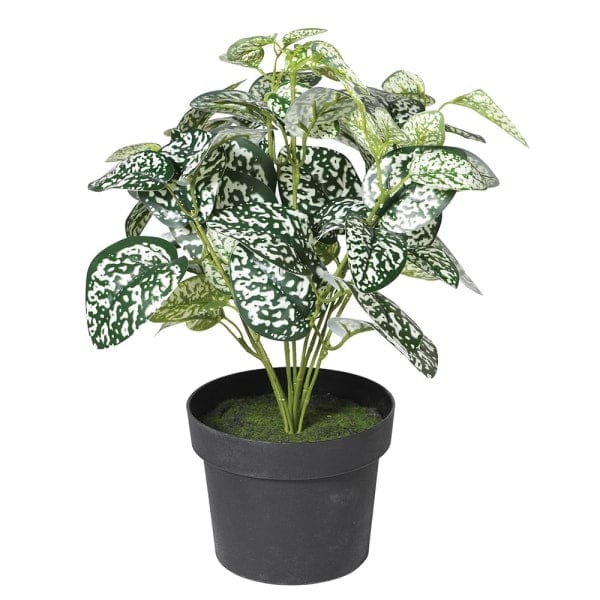 Artificial flowers luxury lifelike faux Chinese Evergreen Plant realistic silk Plants buy online from The Faux Flower Company AHCH-2339