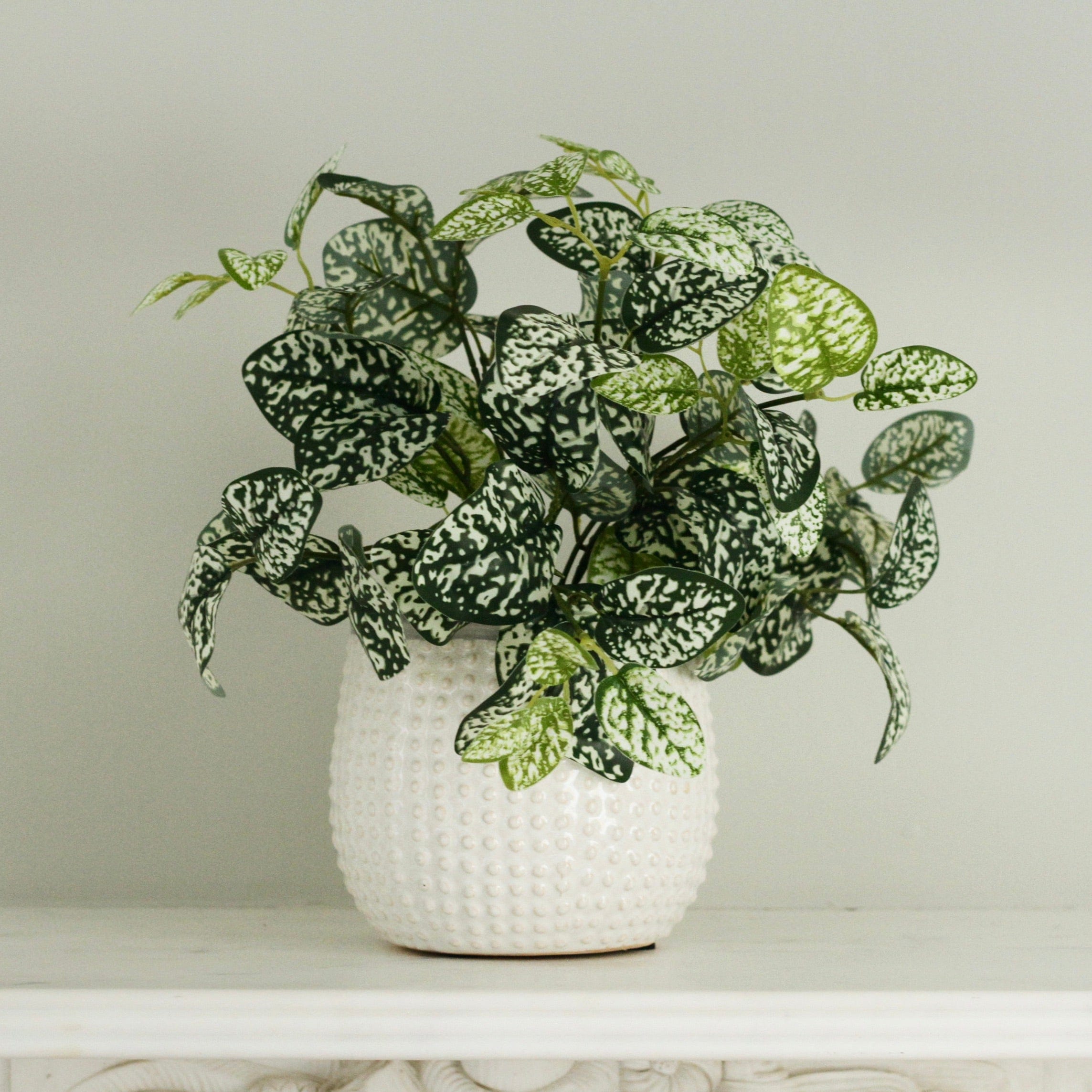 Artificial flowers luxury lifelike faux Chinese Evergreen Plant realistic silk Plants buy online from The Faux Flower Company AHCH-2339