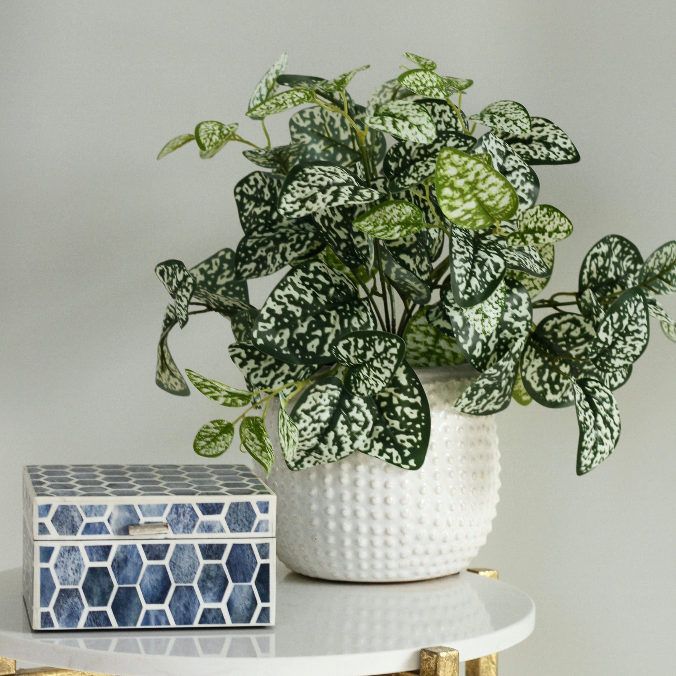 Artificial flowers luxury lifelike faux Chinese Evergreen Plant realistic silk Plants buy online from The Faux Flower Company AHCH-2339