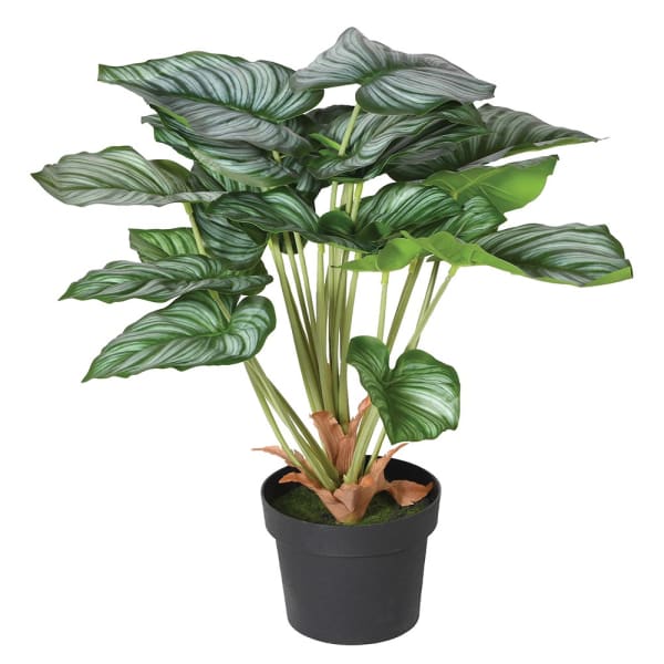 Artificial flowers luxury lifelike faux Green Artificial Peacock Plant realistic silk Plants buy online from The Faux Flower Company AHCH-2340